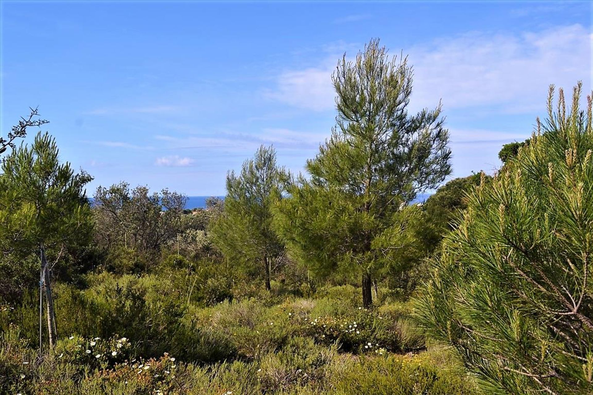 Γη σε Σταύρος, Ιωνία Νησιά 10799614