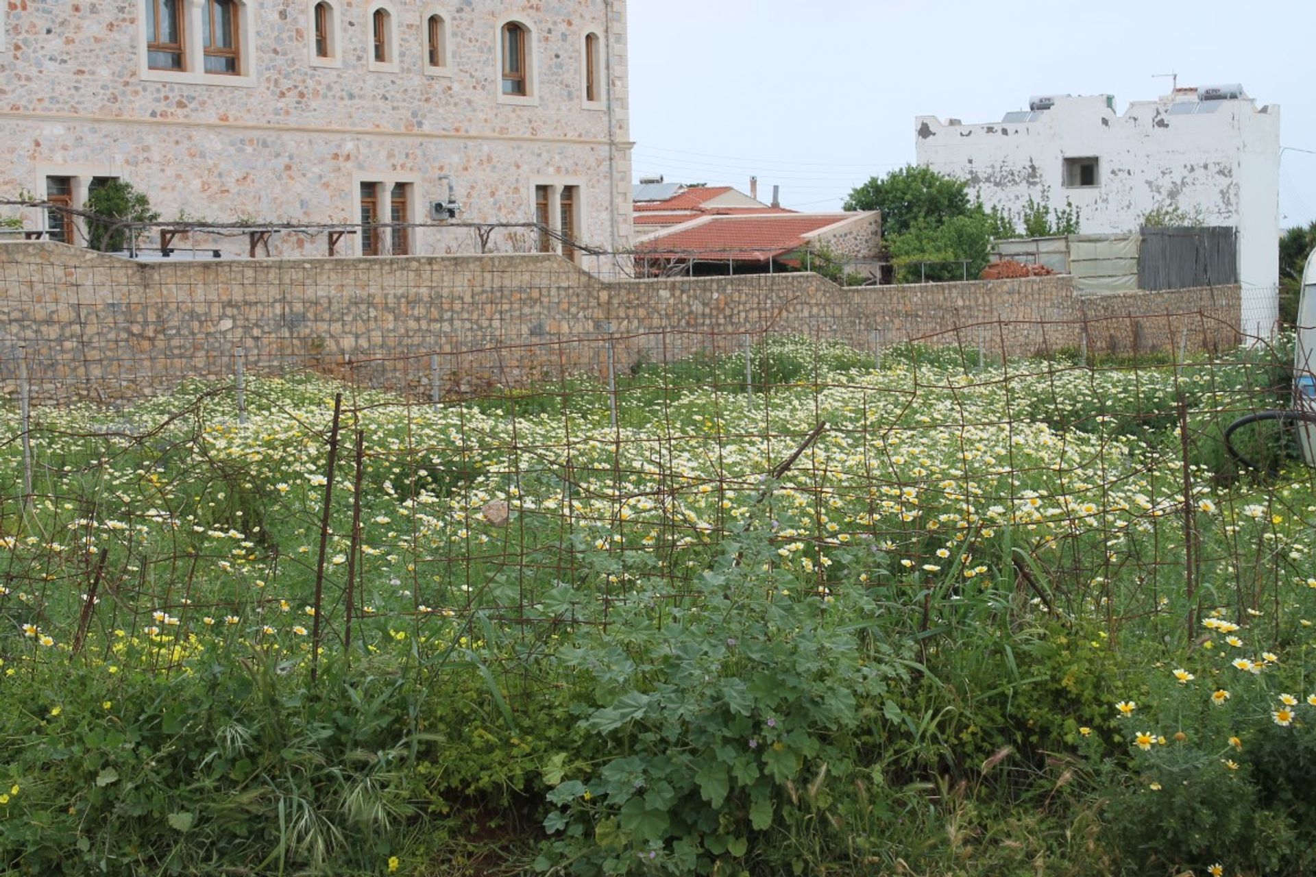 Land in Koxari, Kriti 10799945