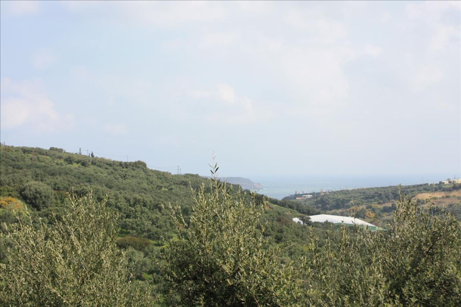 Land in Platanias, Kriti 10799987