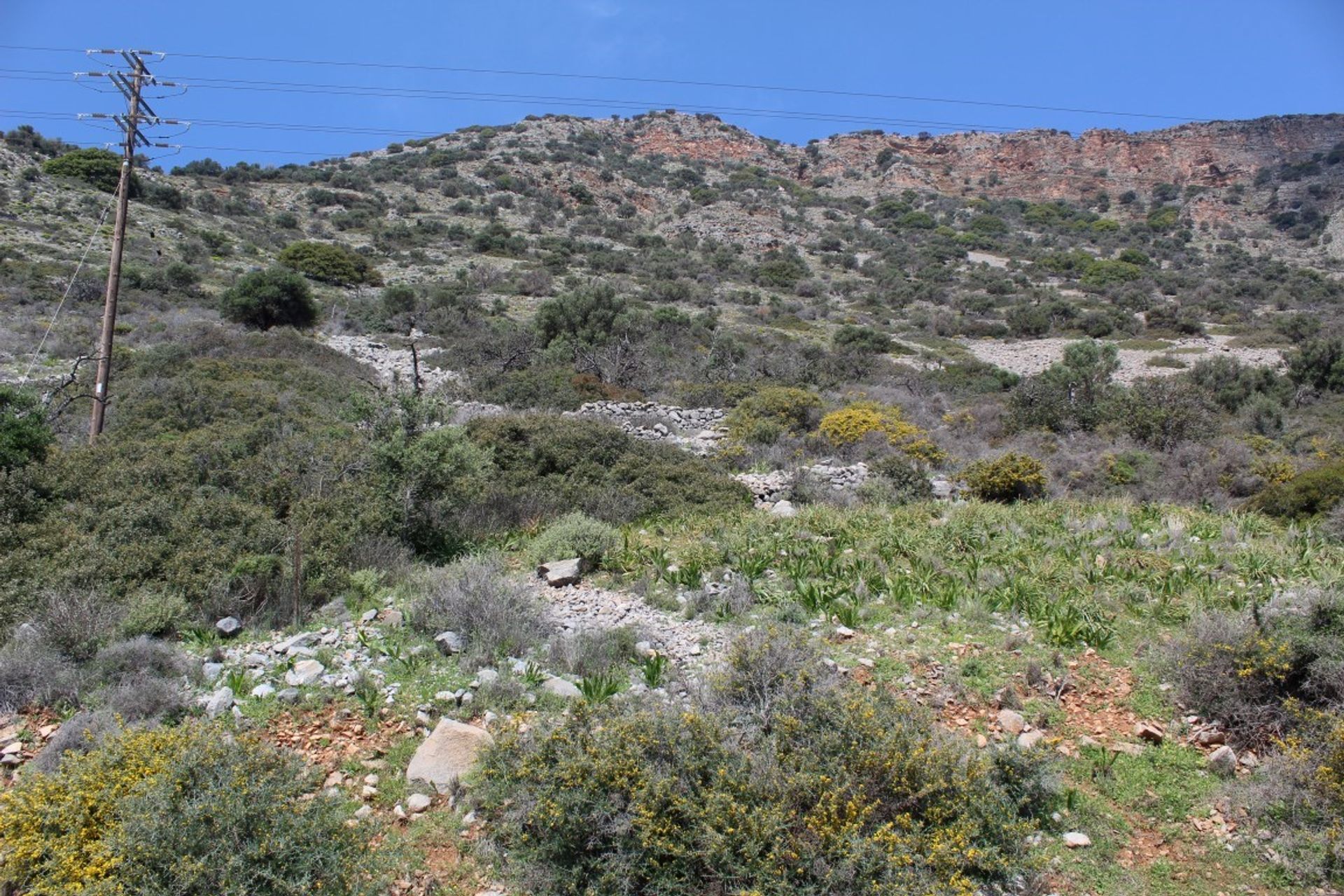 Tierra en Atsimpraga, criti 10800086