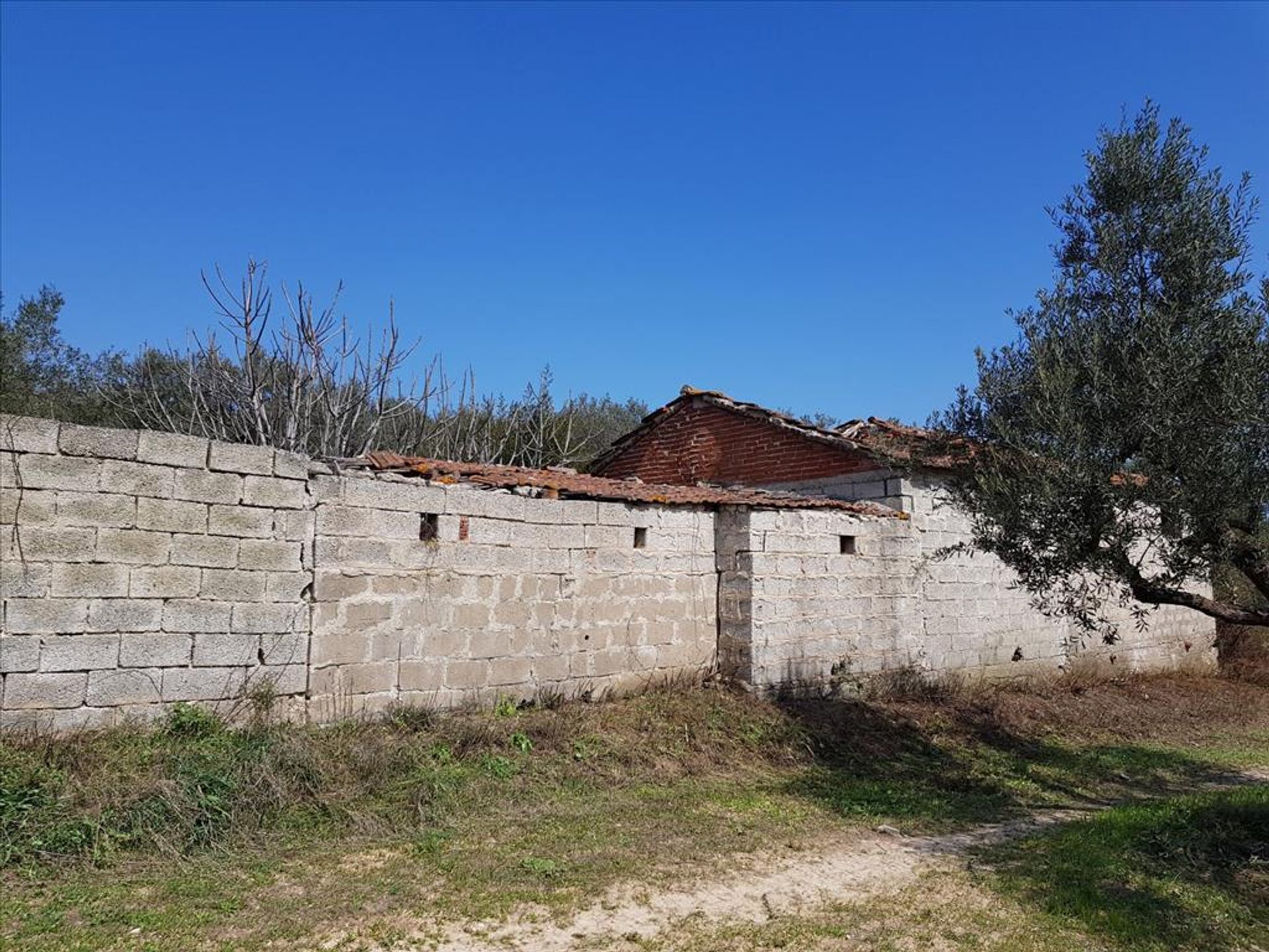 土地 在 尼基蒂, 肯特里基馬其頓 10800187