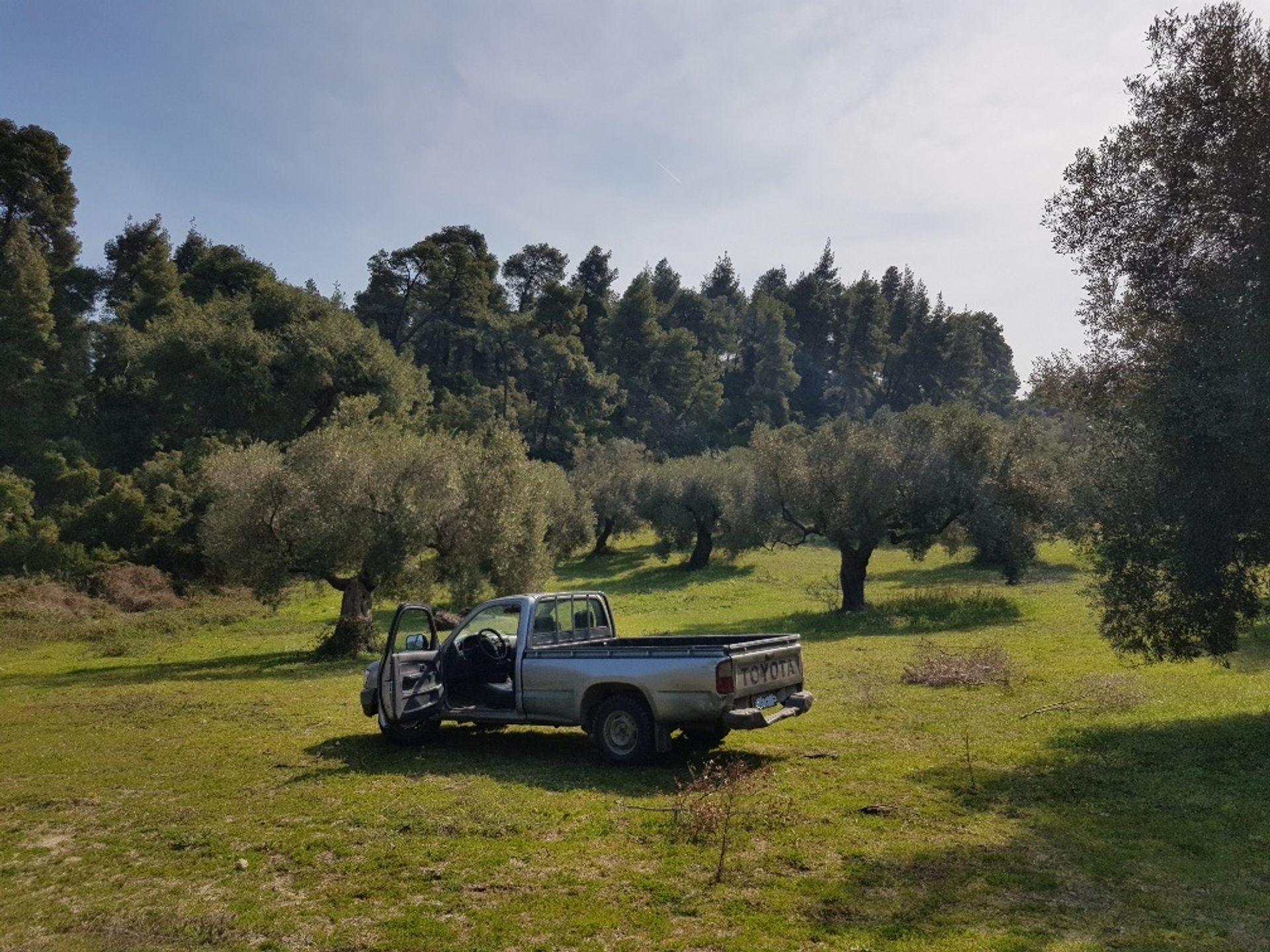 Γη σε Κασσάνδρεια, Κεντρική Μακεδονία 10800190