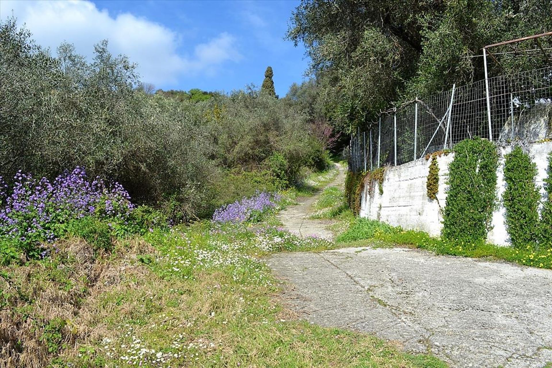 Land in Doukades, Ionië Nisia 10800208