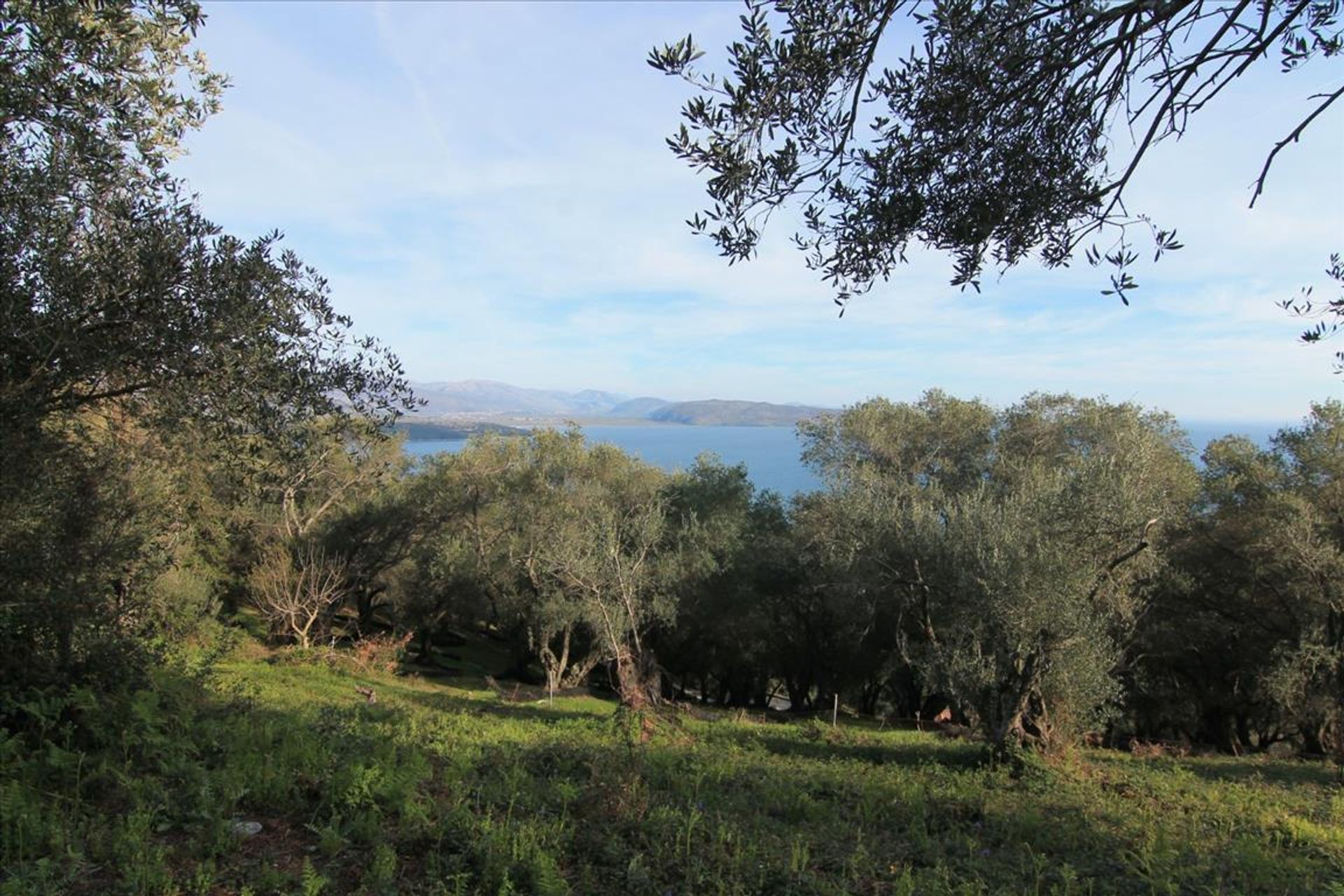 Land i Kassiopi, Ionia Nisia 10800292