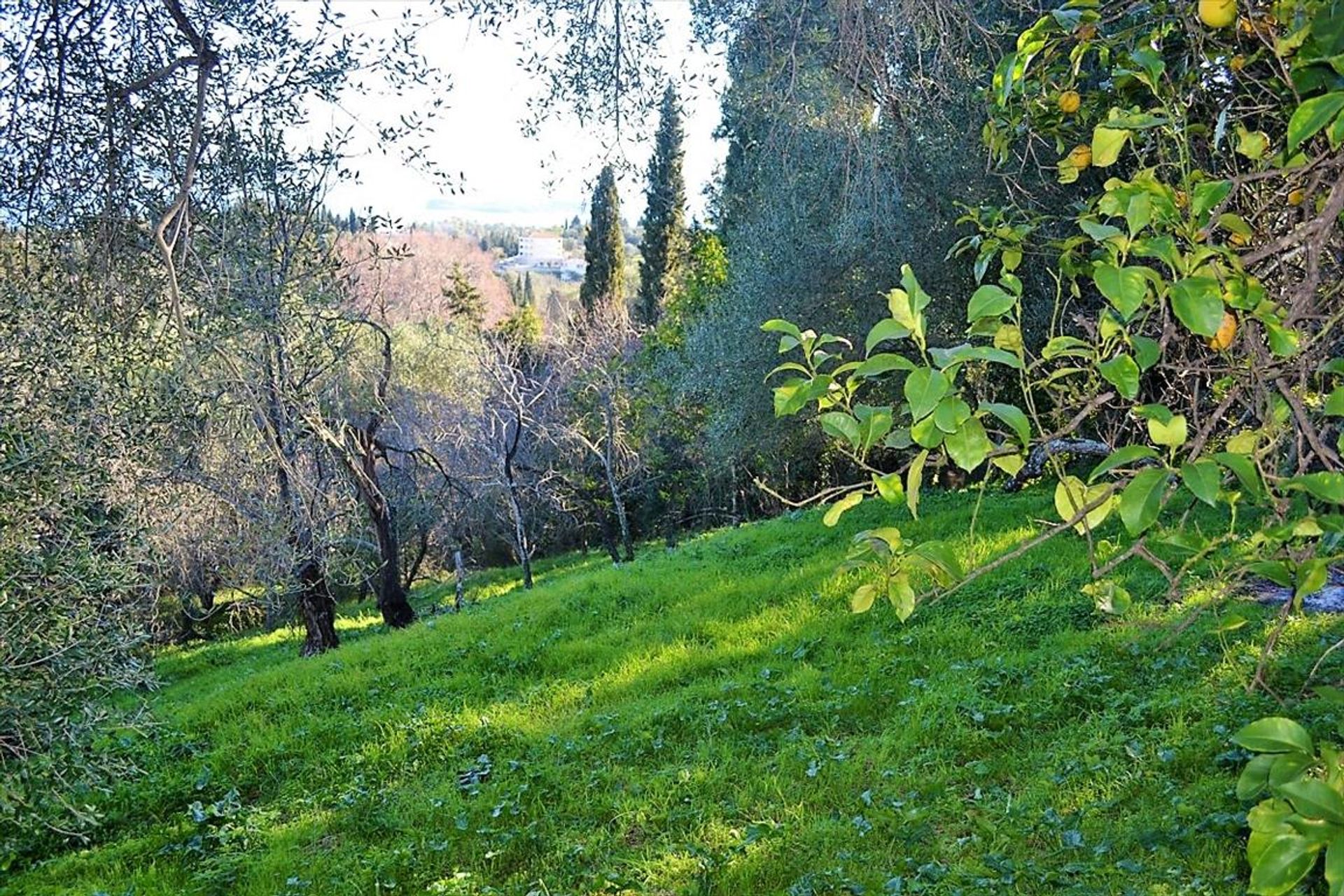 Tierra en Evropouloi, Ionia Nisia 10800311