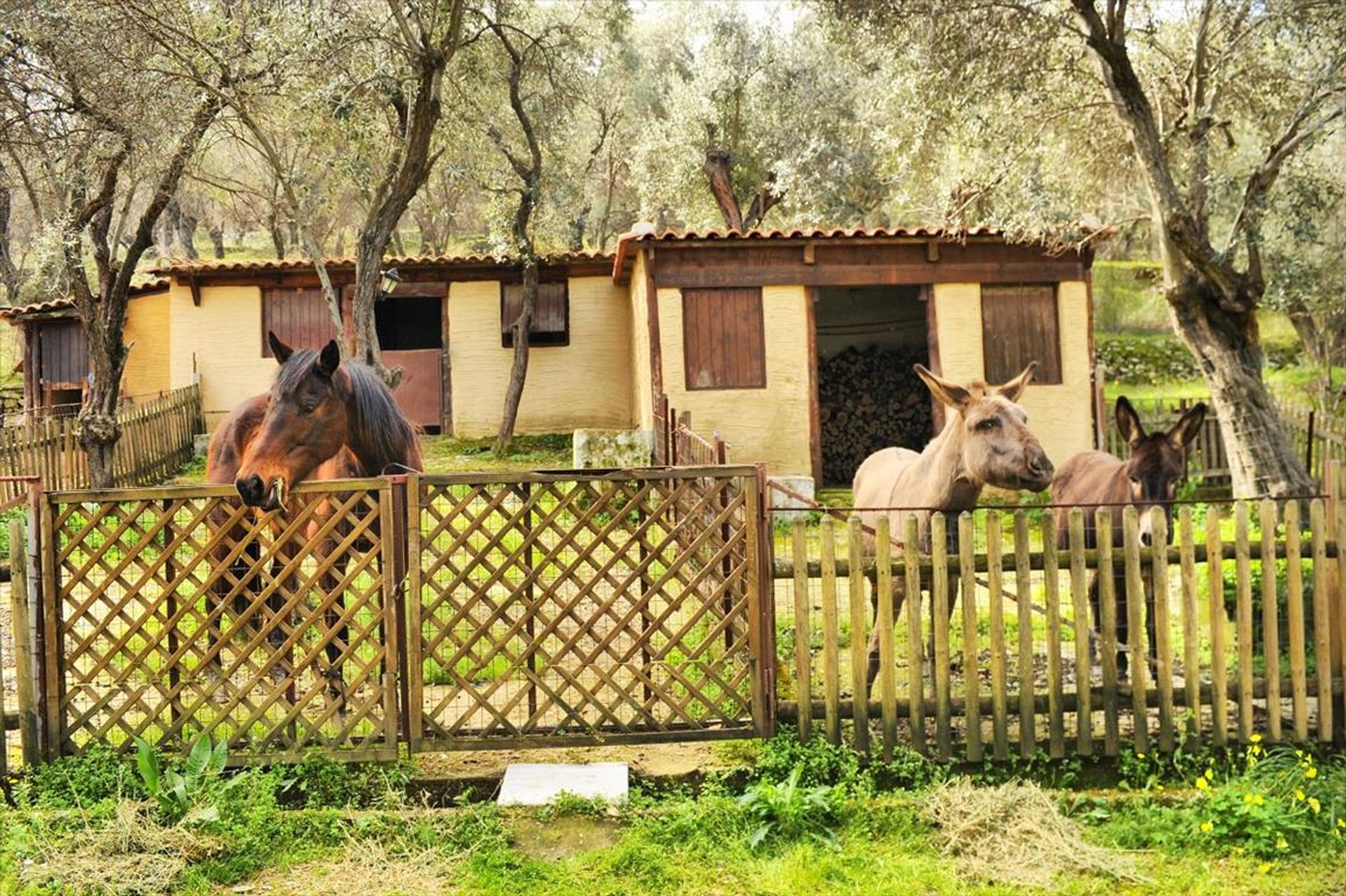 بيع بالتجزئة في ,  10800360