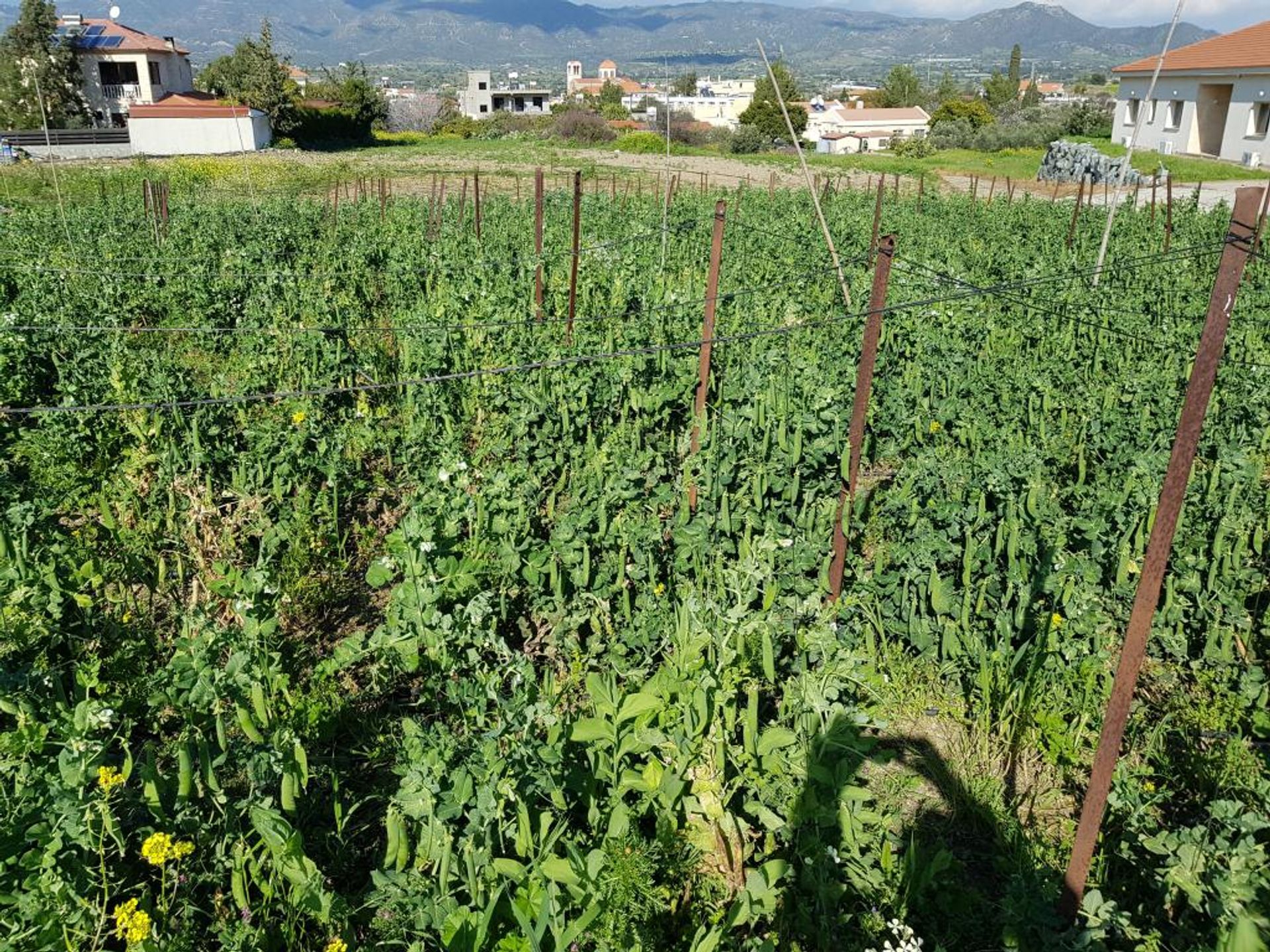 Tierra en Parekklisia, Lárnaca 10800442