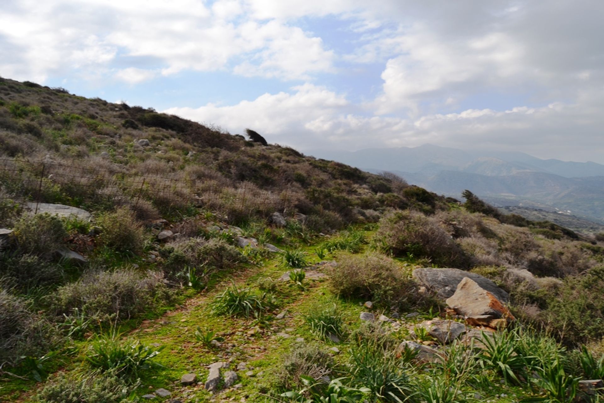 Terra no Malia, Criti 10800457