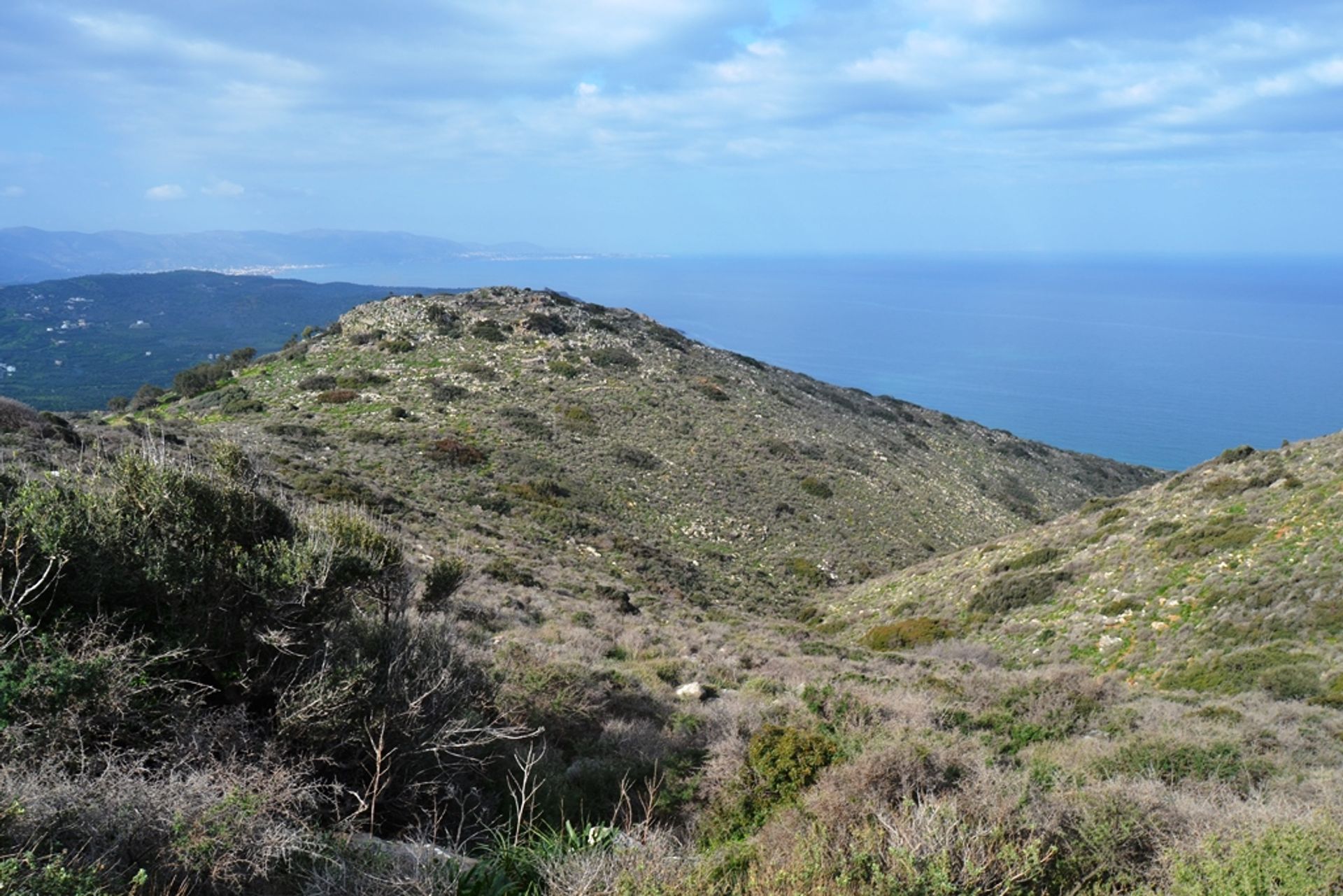 Terra no Malia, Criti 10800457