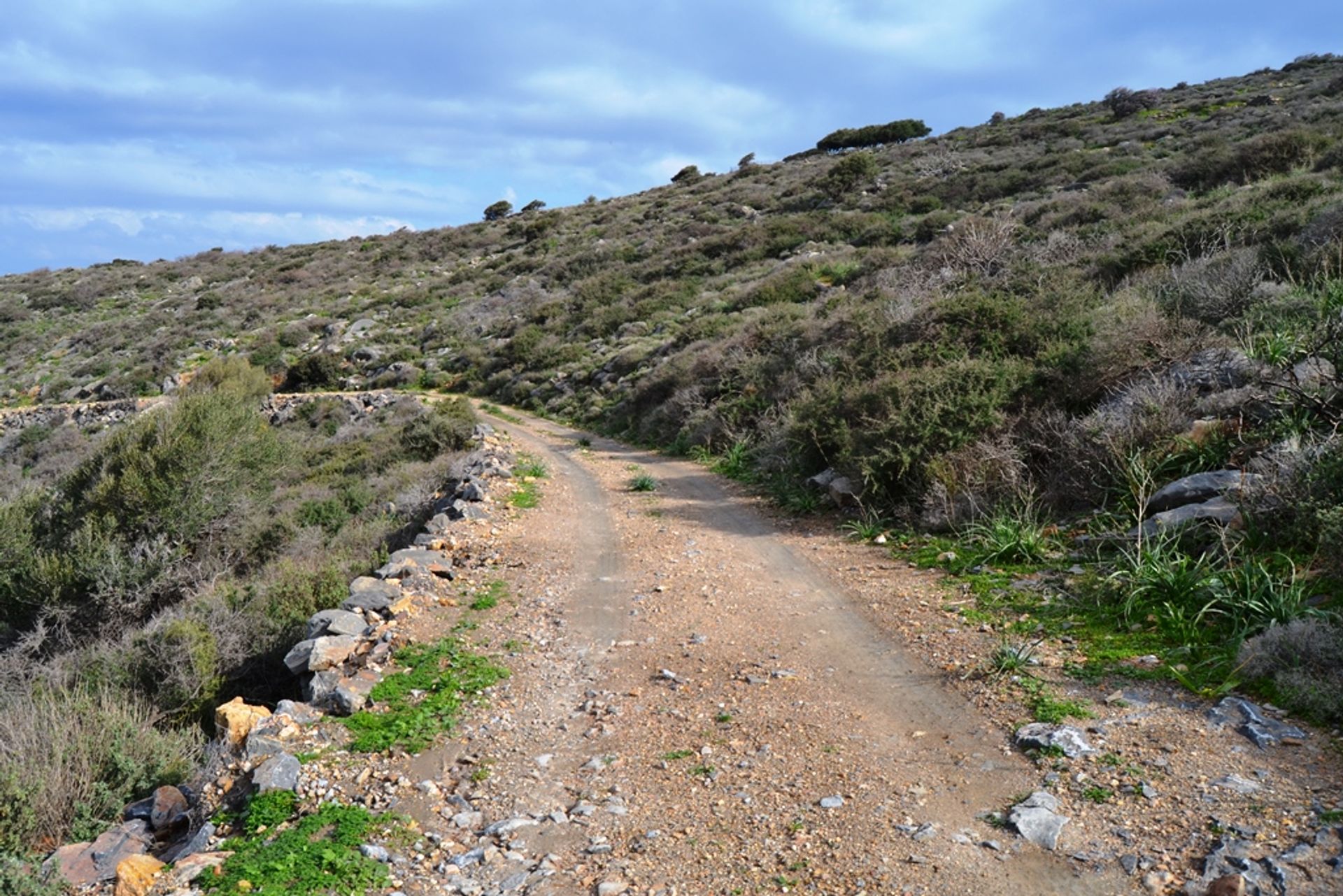 Terra no Malia, Criti 10800457