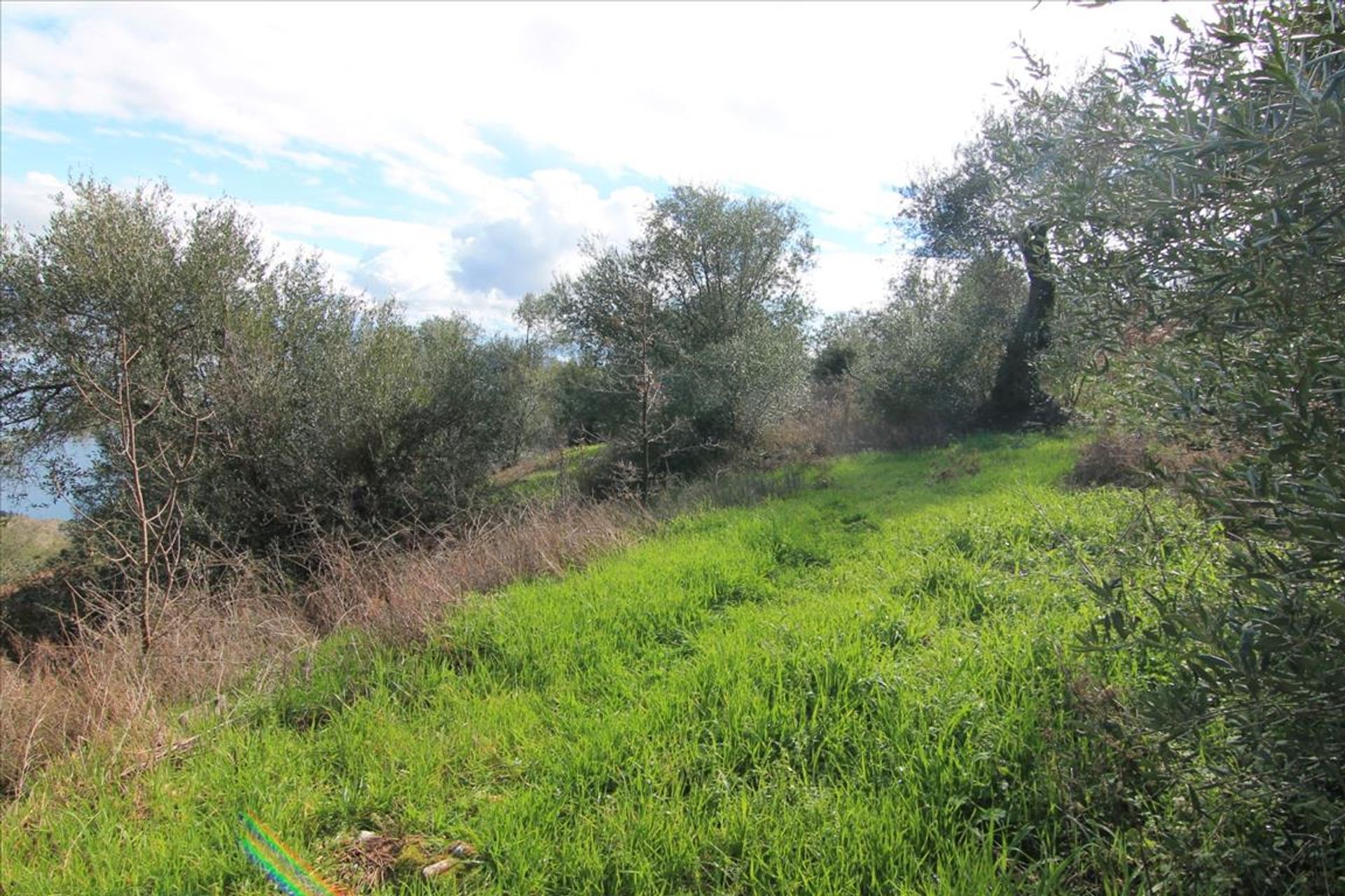 Land i Kassiopi, Ionia Nisia 10800541