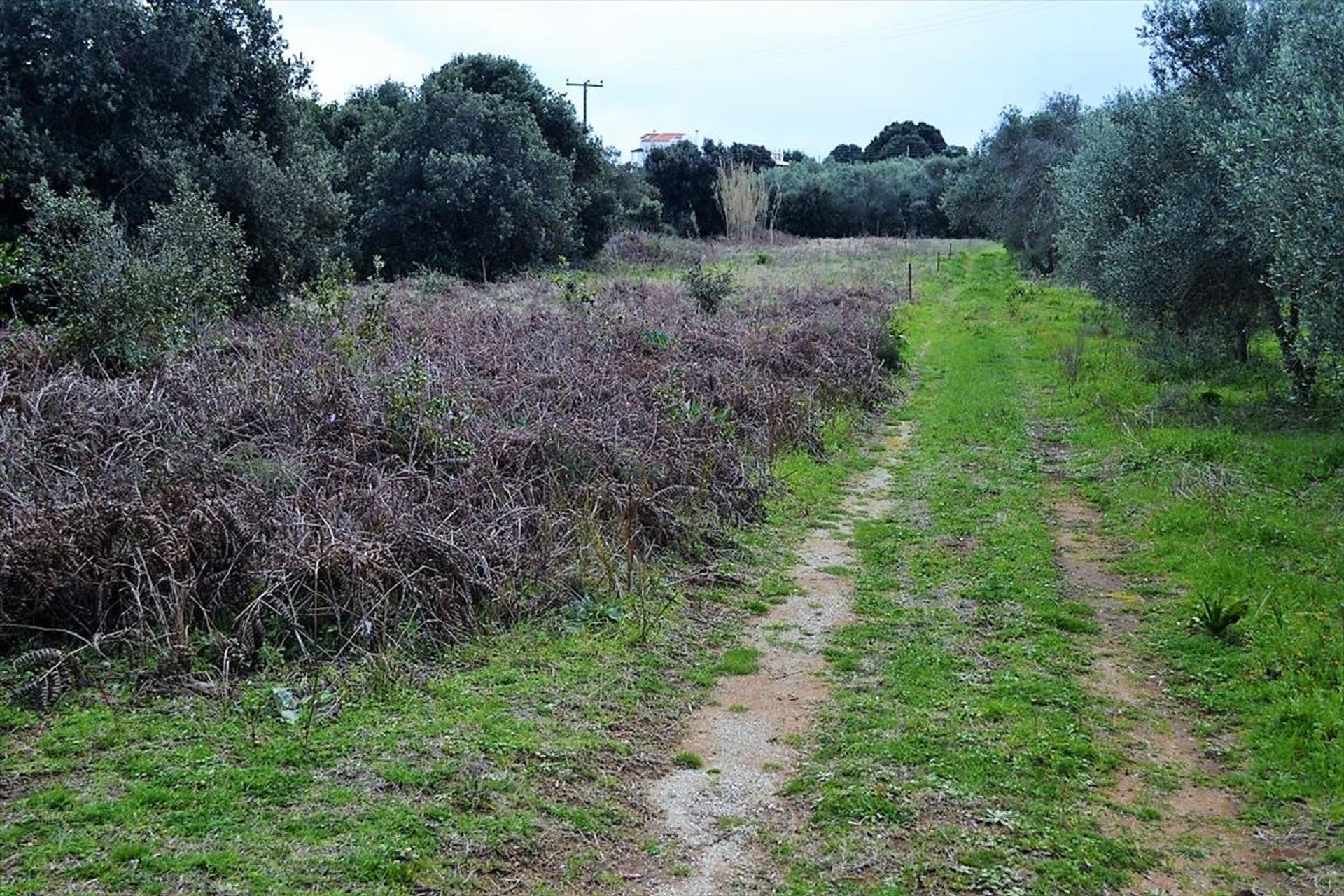 Land in Stavros, Ionië Nisia 10800569