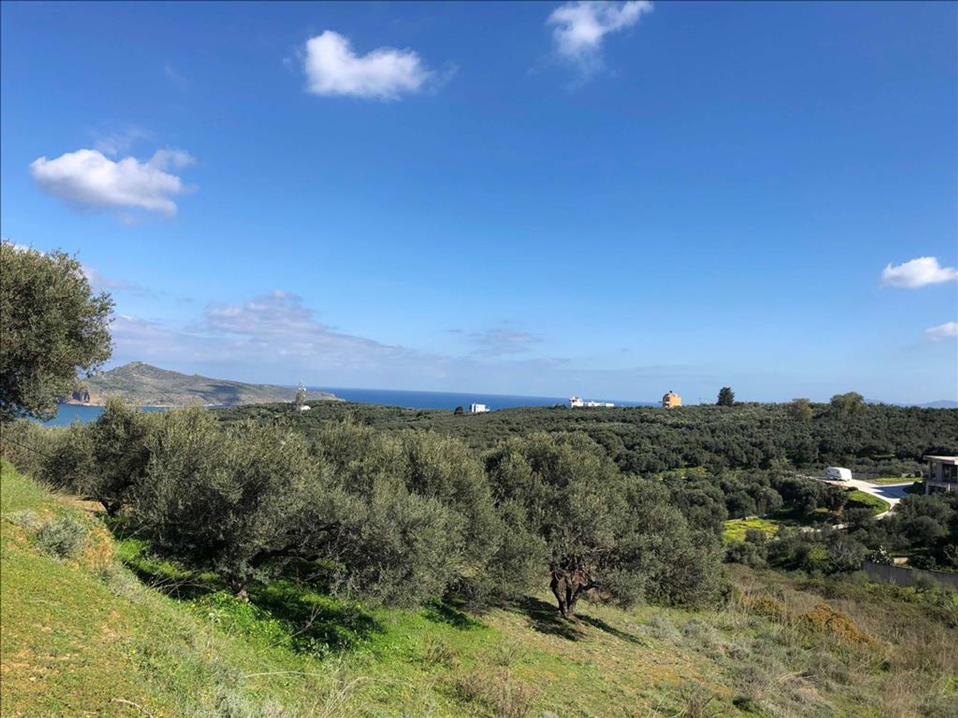 Land in Platanias, Kriti 10800602