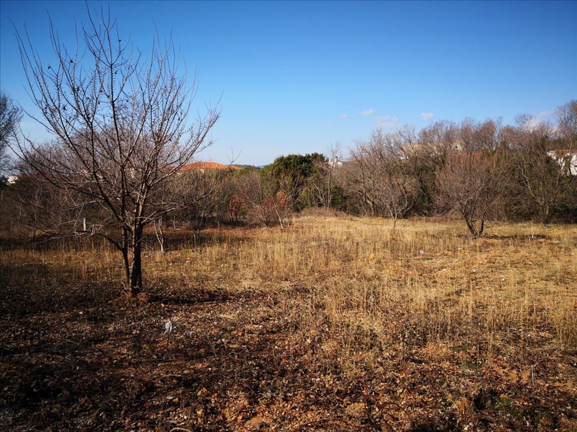 土地 在 Polygyros, Kentriki Makedonia 10800651