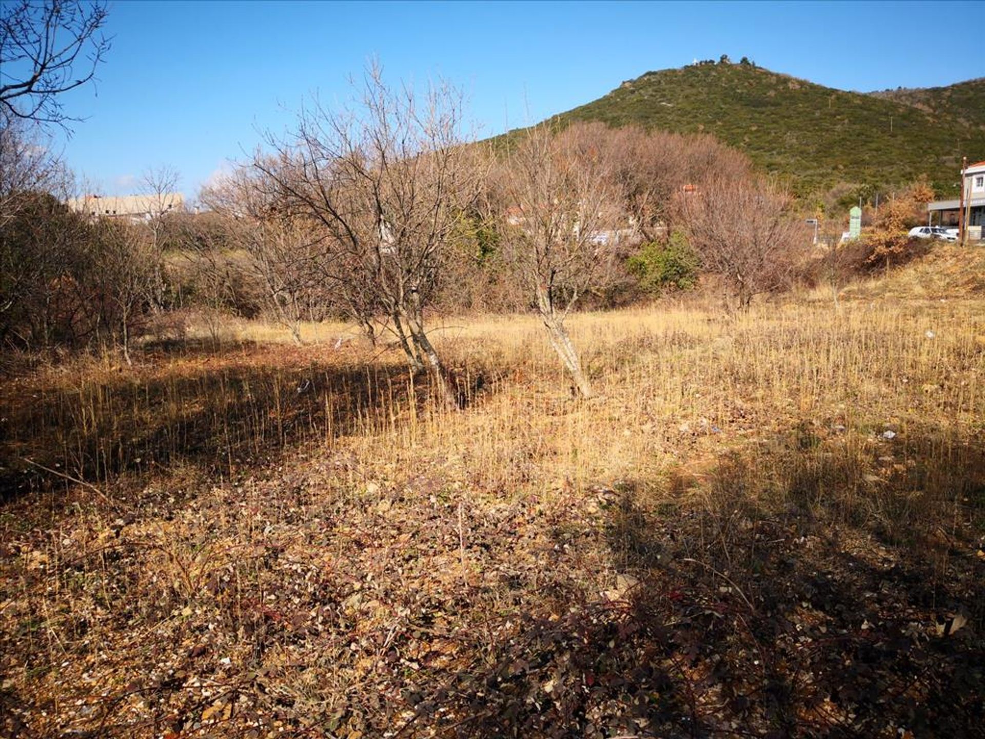 土地 在 多陀螺儀, 肯特里基馬其頓 10800654