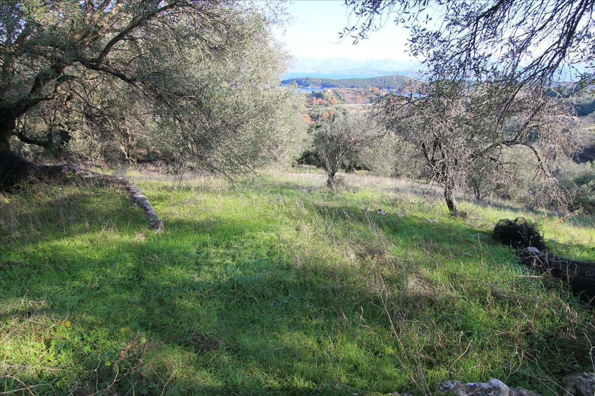 Tanah di Kassiopi, Ionia Nisia 10800777