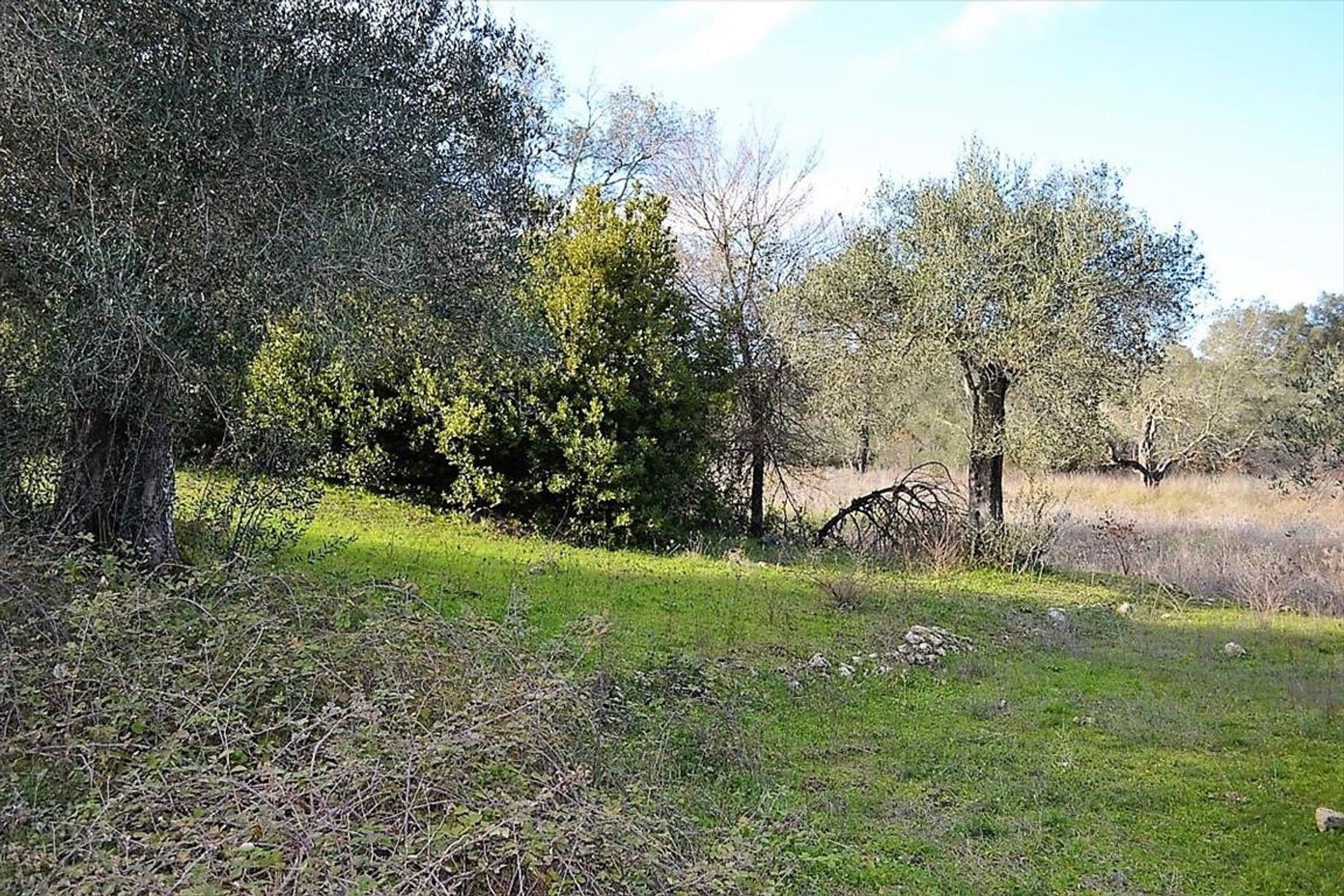 Land in Kastellanoi, Ionia Nisia 10800836