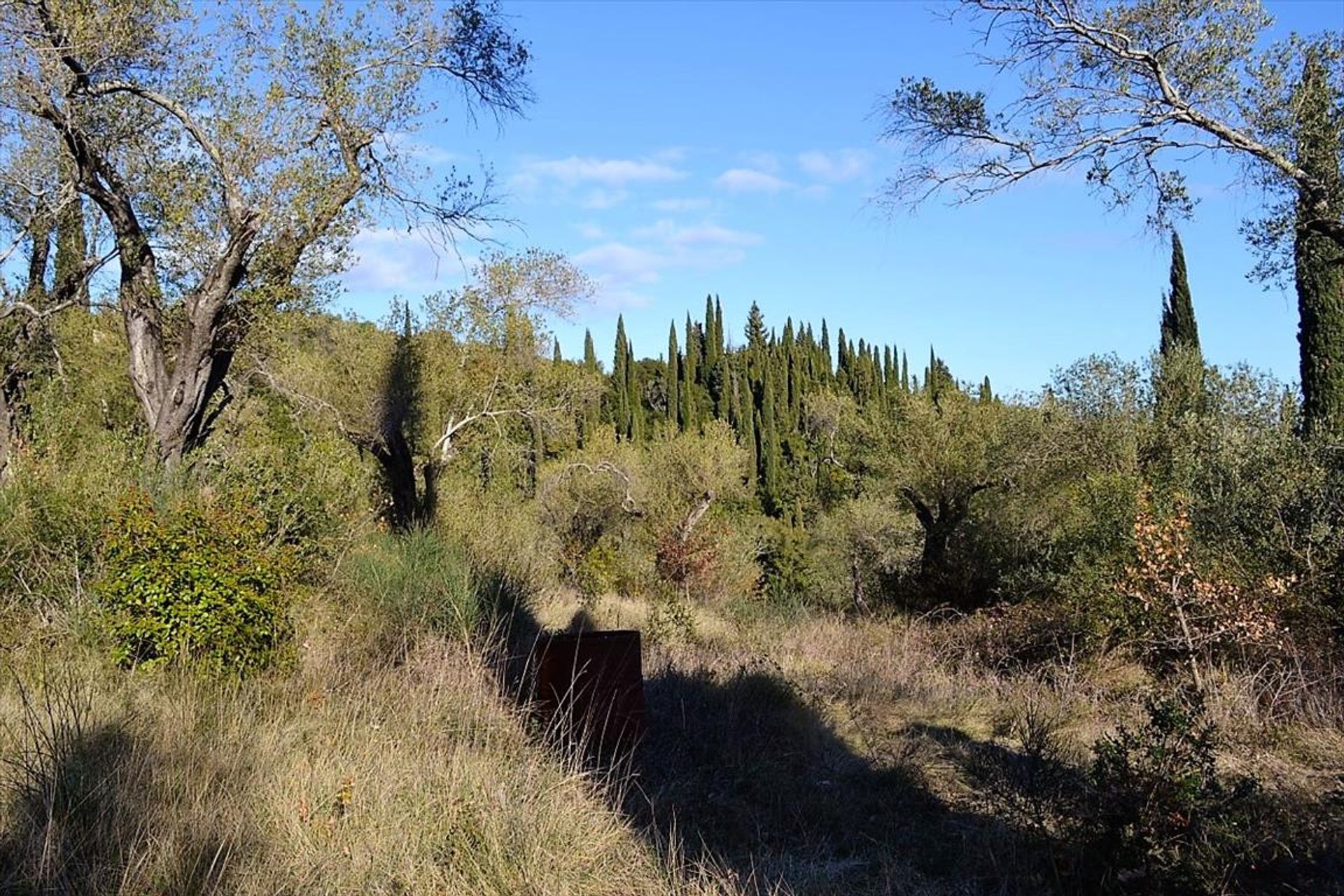 Terra no Kastellanoi, Ionia Nisia 10800837