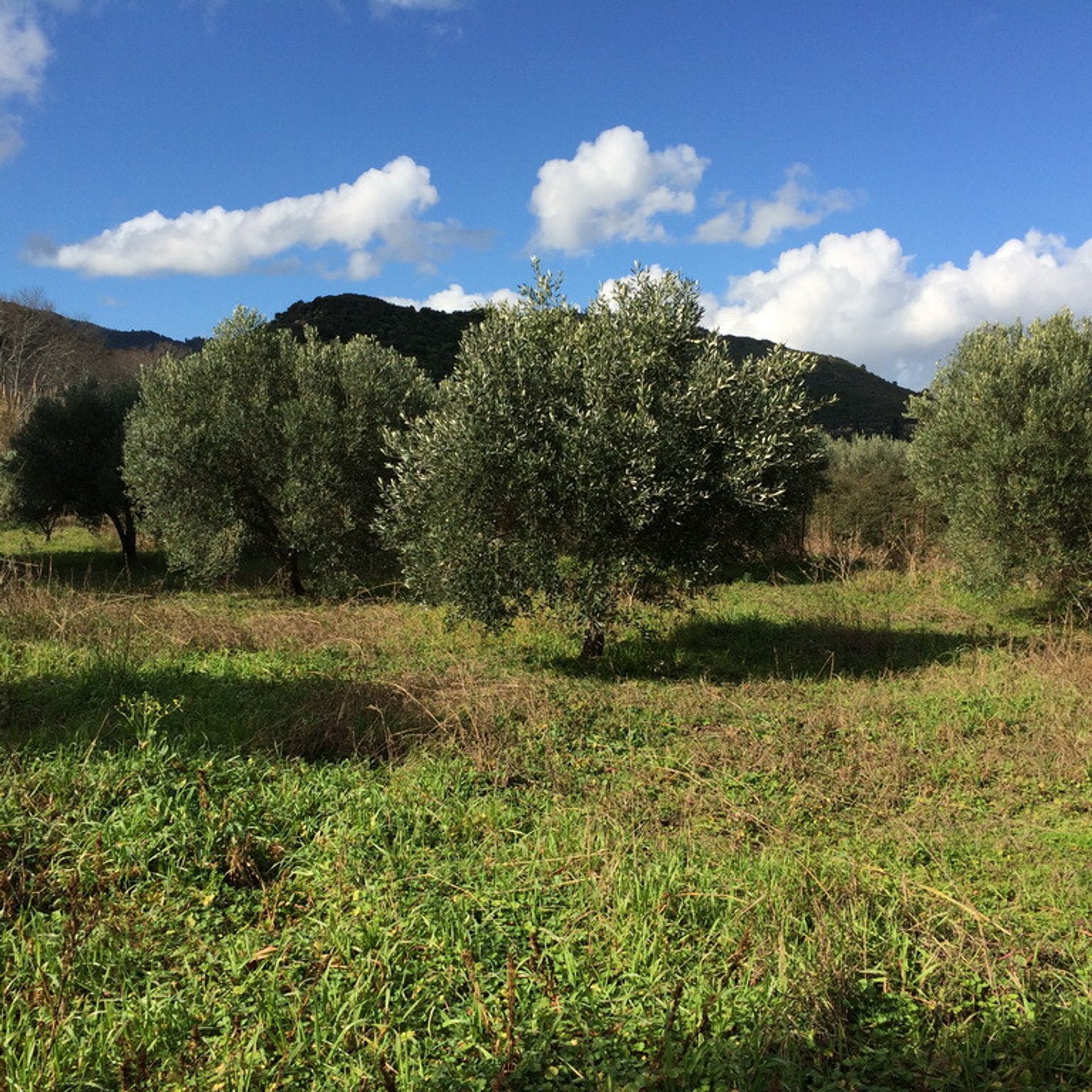 Land in Neos Marmaras, Kentriki Makedonia 10800859