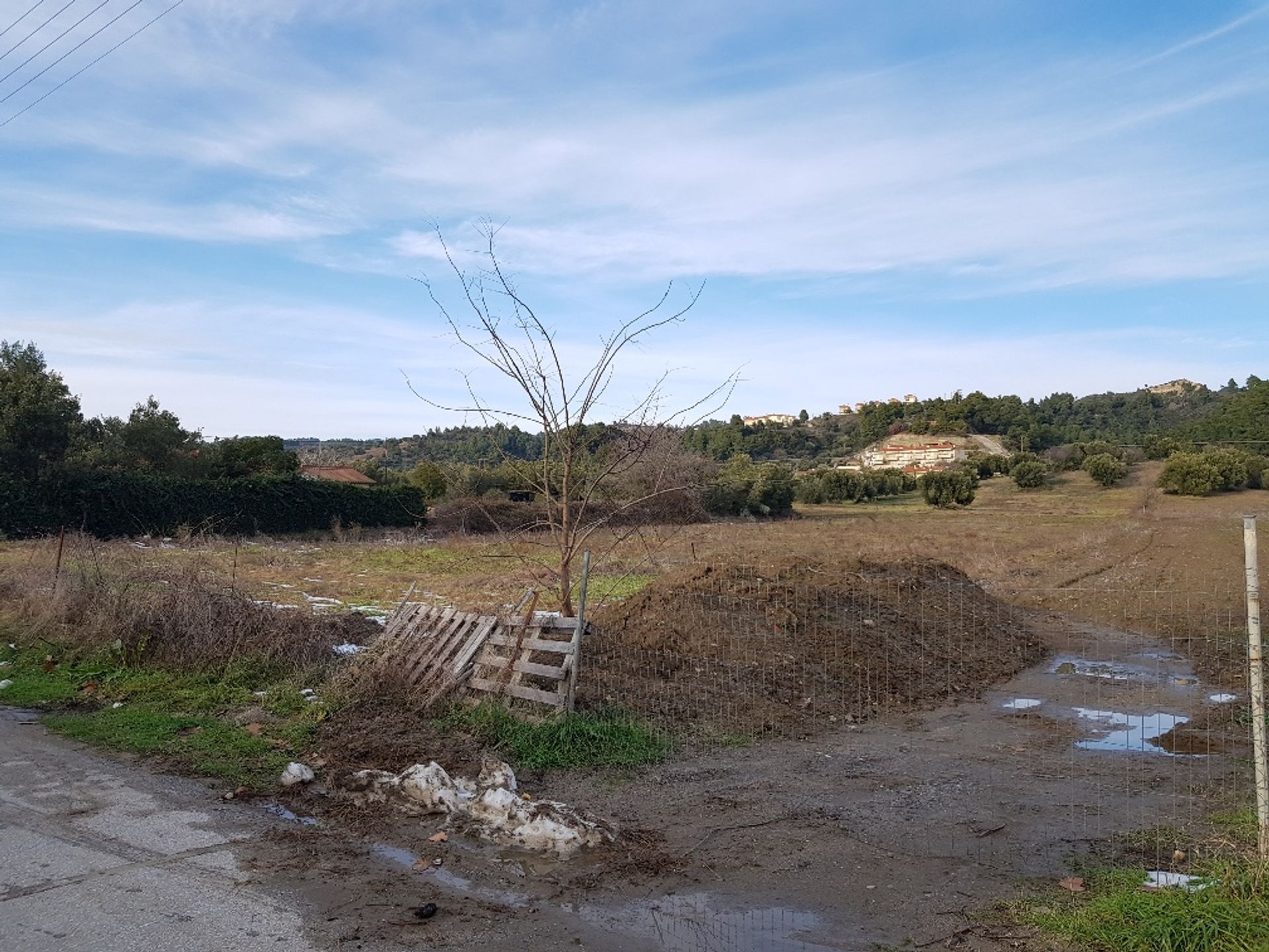 ארץ ב קסנדריה, קנטריקי מקדוניה 10800890