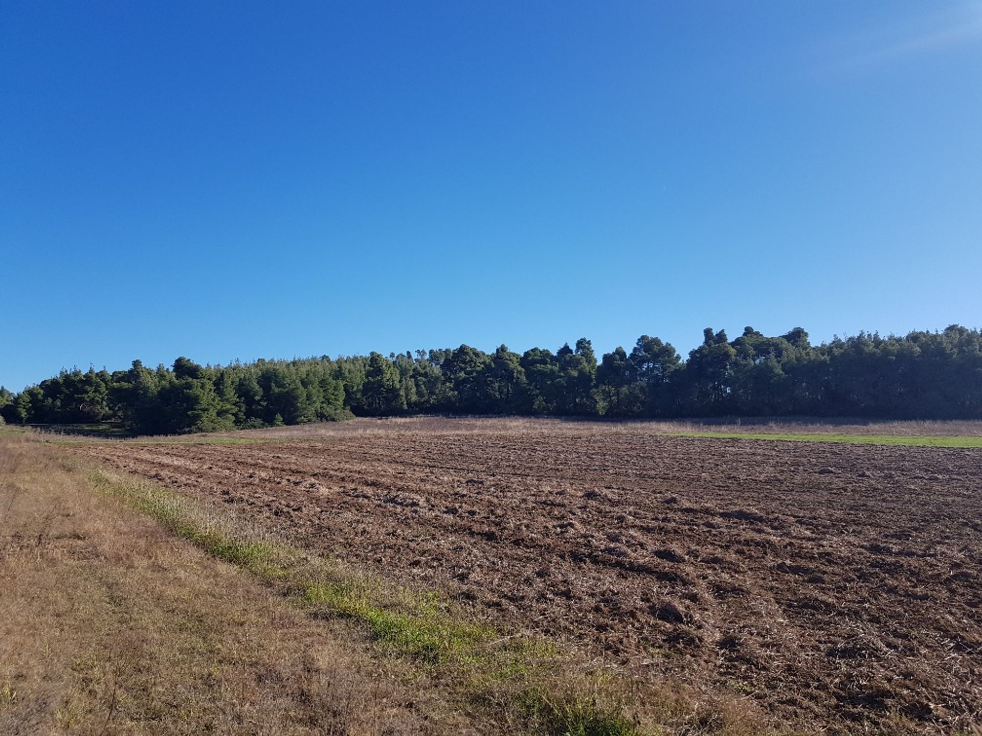 Terre dans Kassandréia, Kentriki Macédoine 10801083