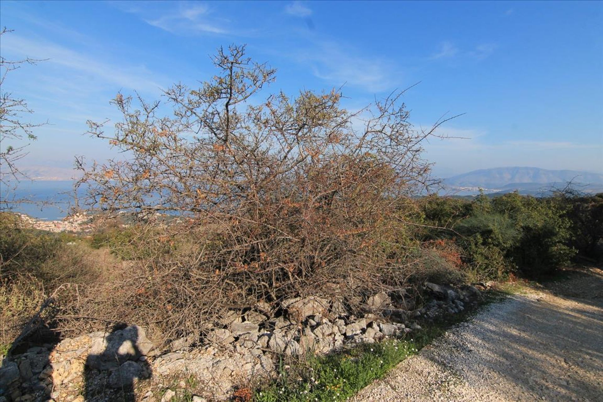 Terre dans Kassiopi, Ionia Nisia 10801284