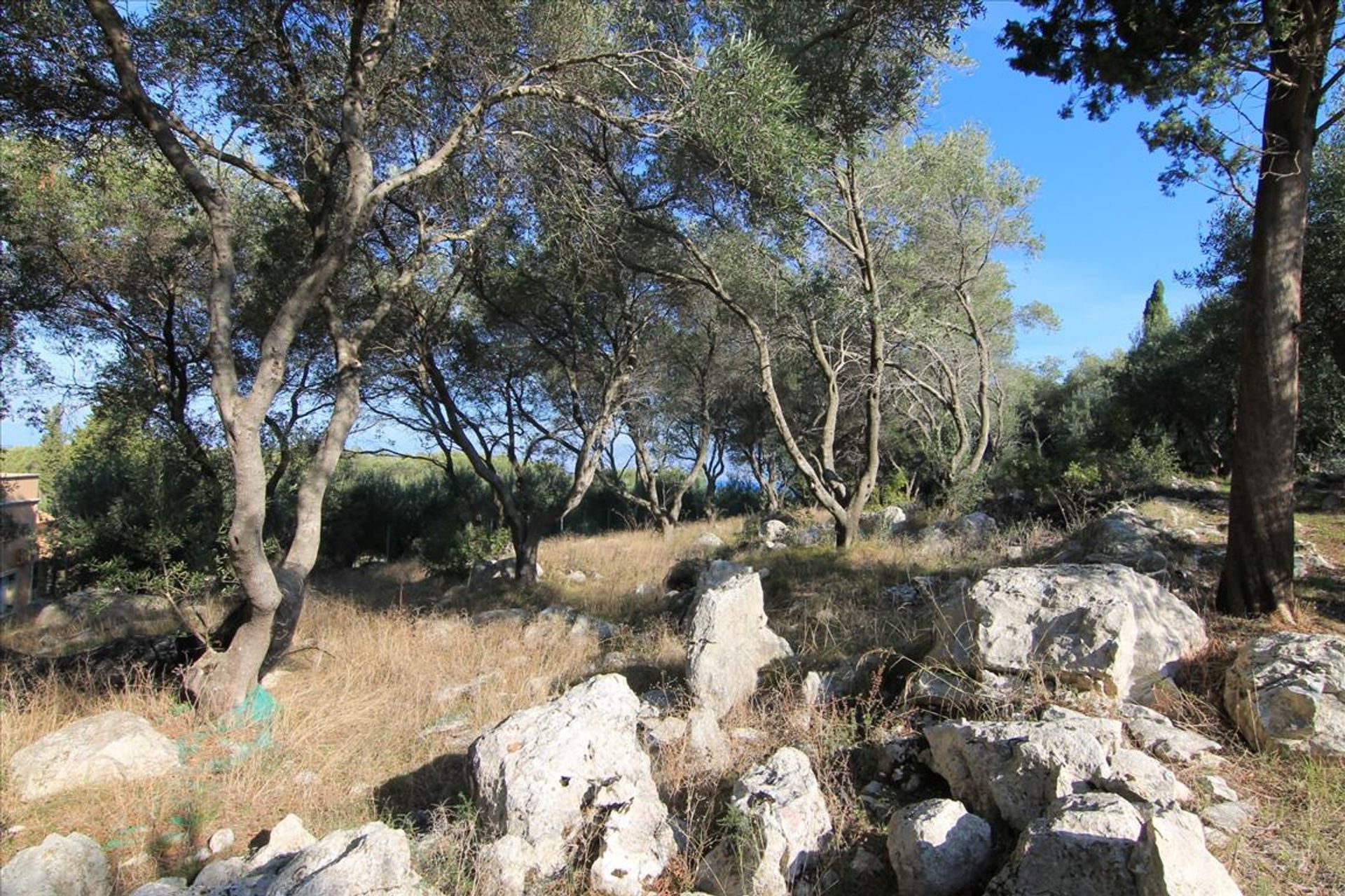 Terre dans Kassiopi,  10801302