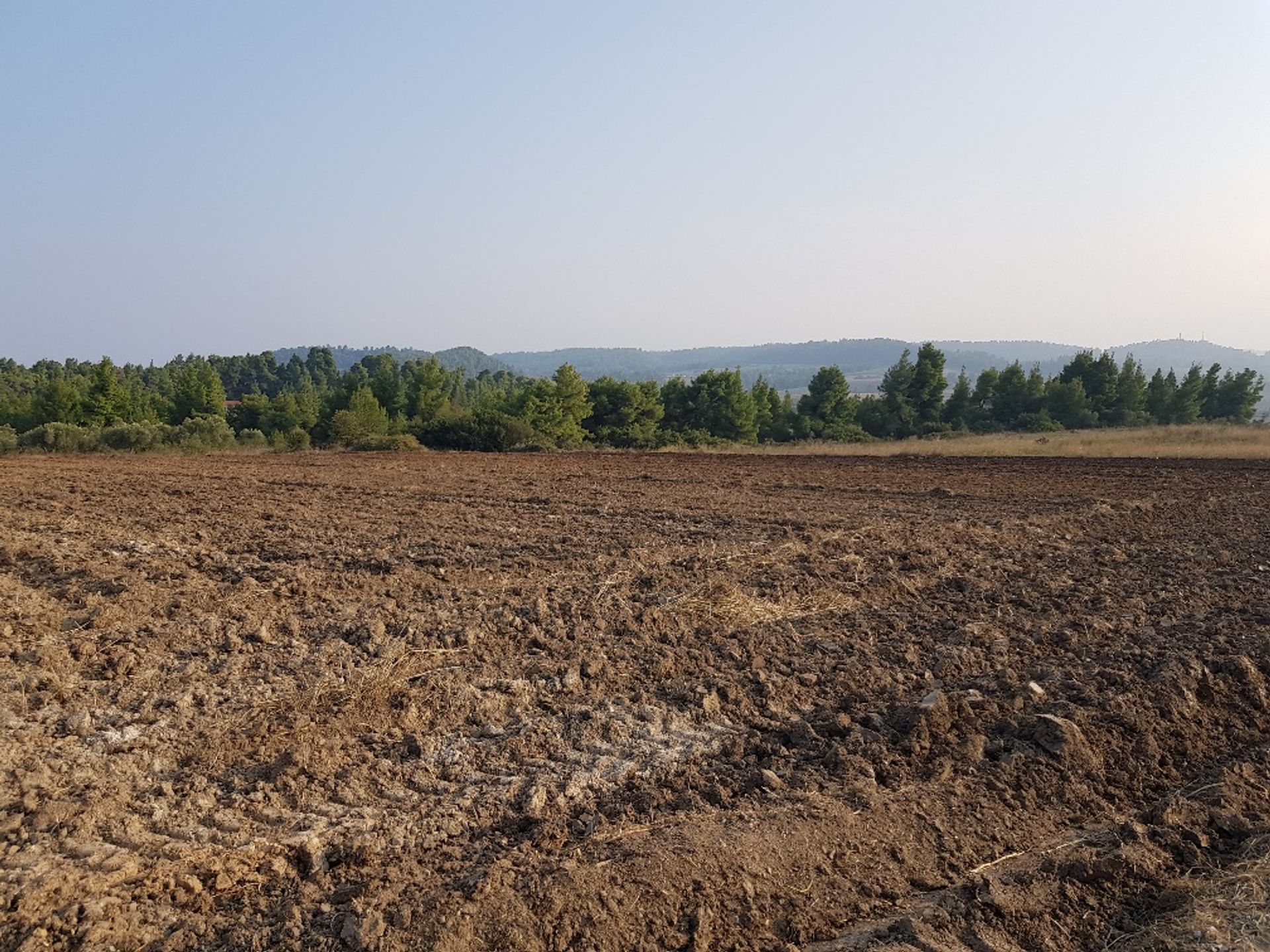 Wylądować w Kasandreja, Kentriki Makedonia 10801377