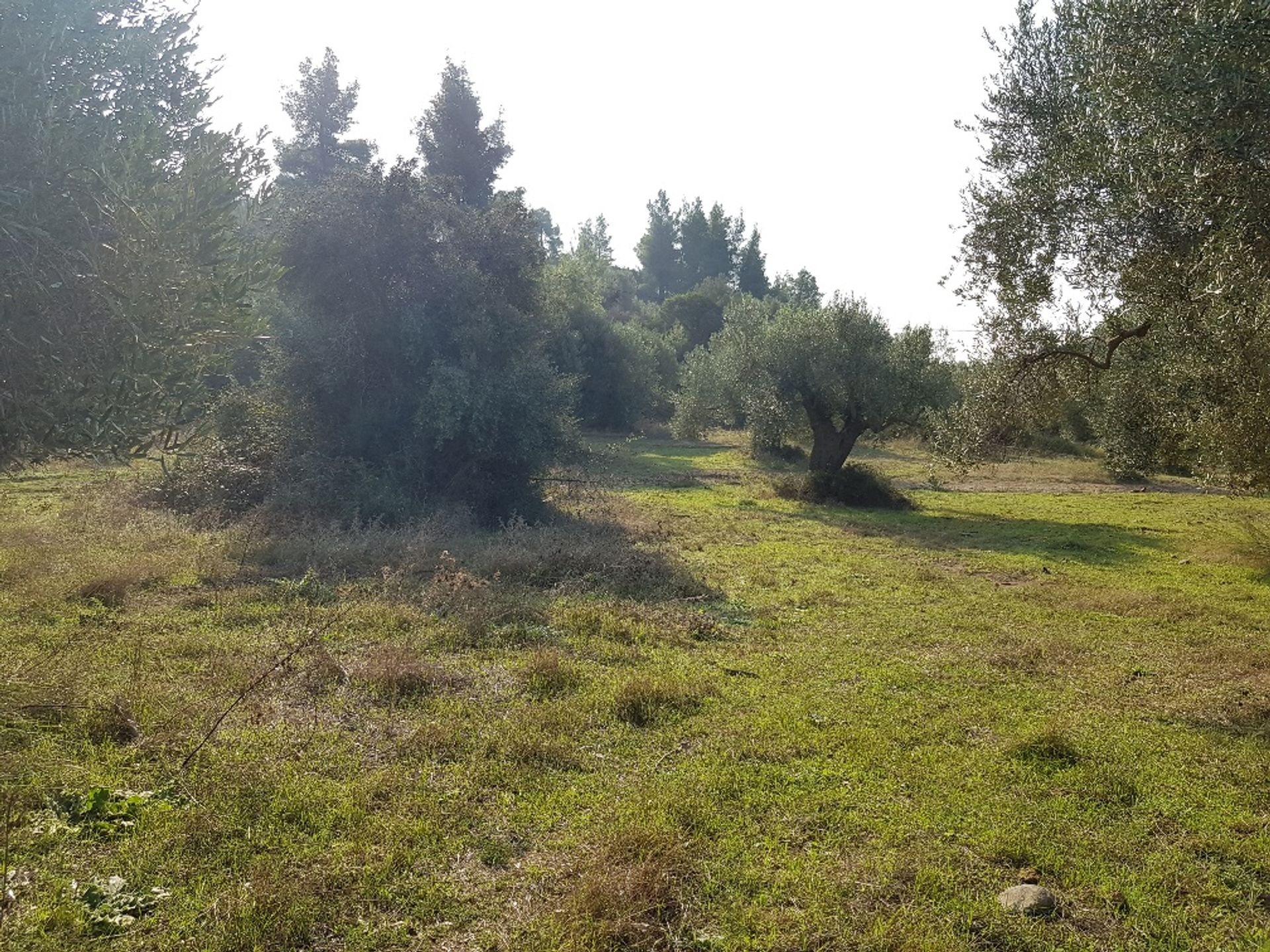 Land im Kassandreia, Kentriki Makedonia 10801383