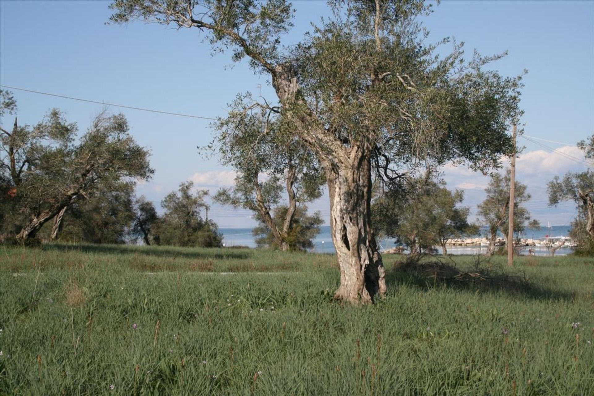 Tierra en Perívoli, Jonia Nisia 10801550