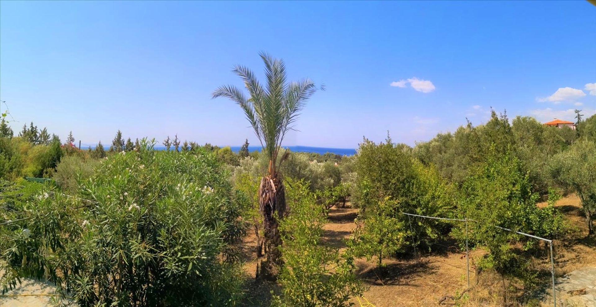 Συγκυριαρχία σε Νικήτη, Κεντρική Μακεδονία 10801667