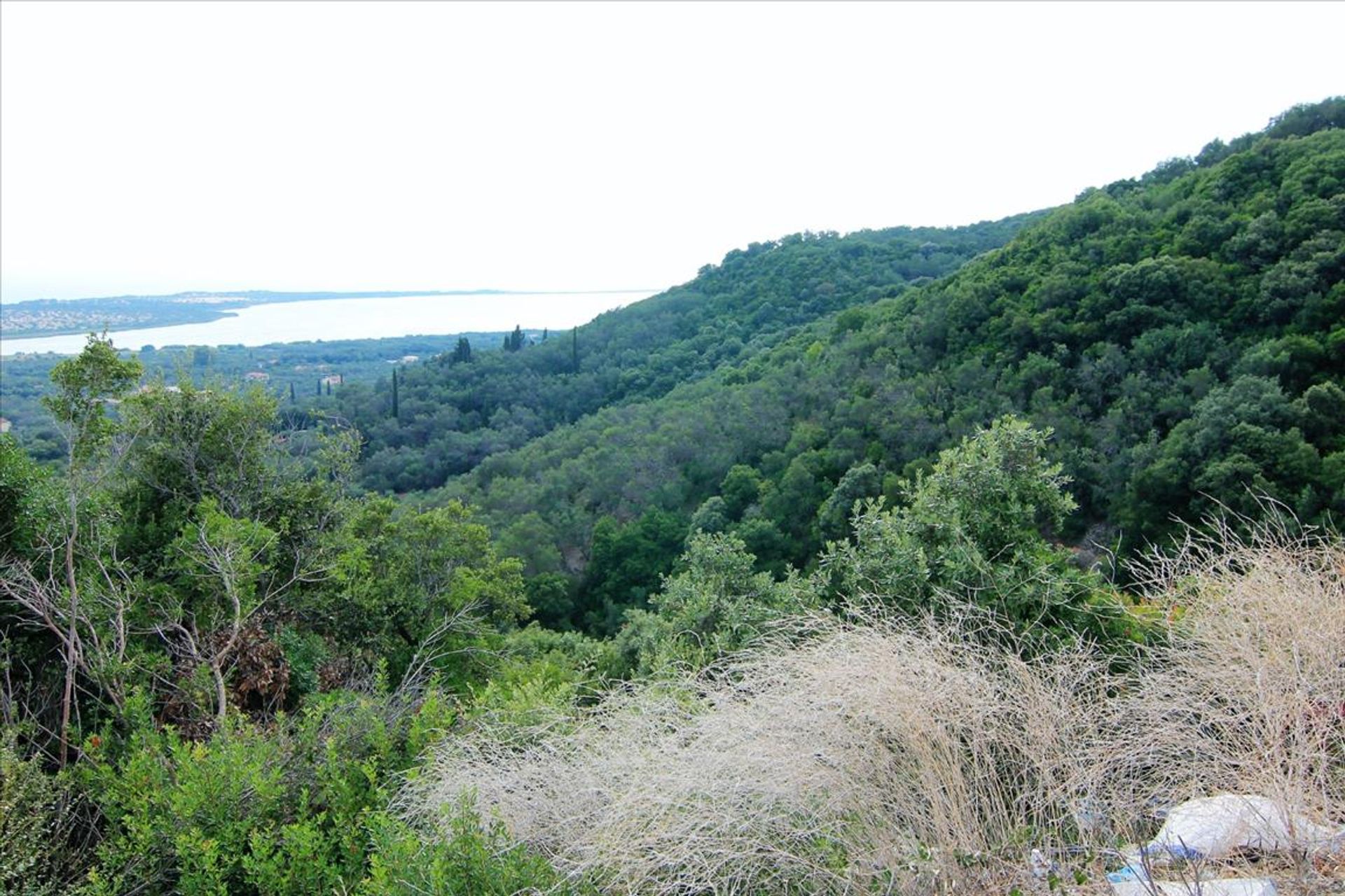 Land in Argyrades, Ionia Nisia 10801830