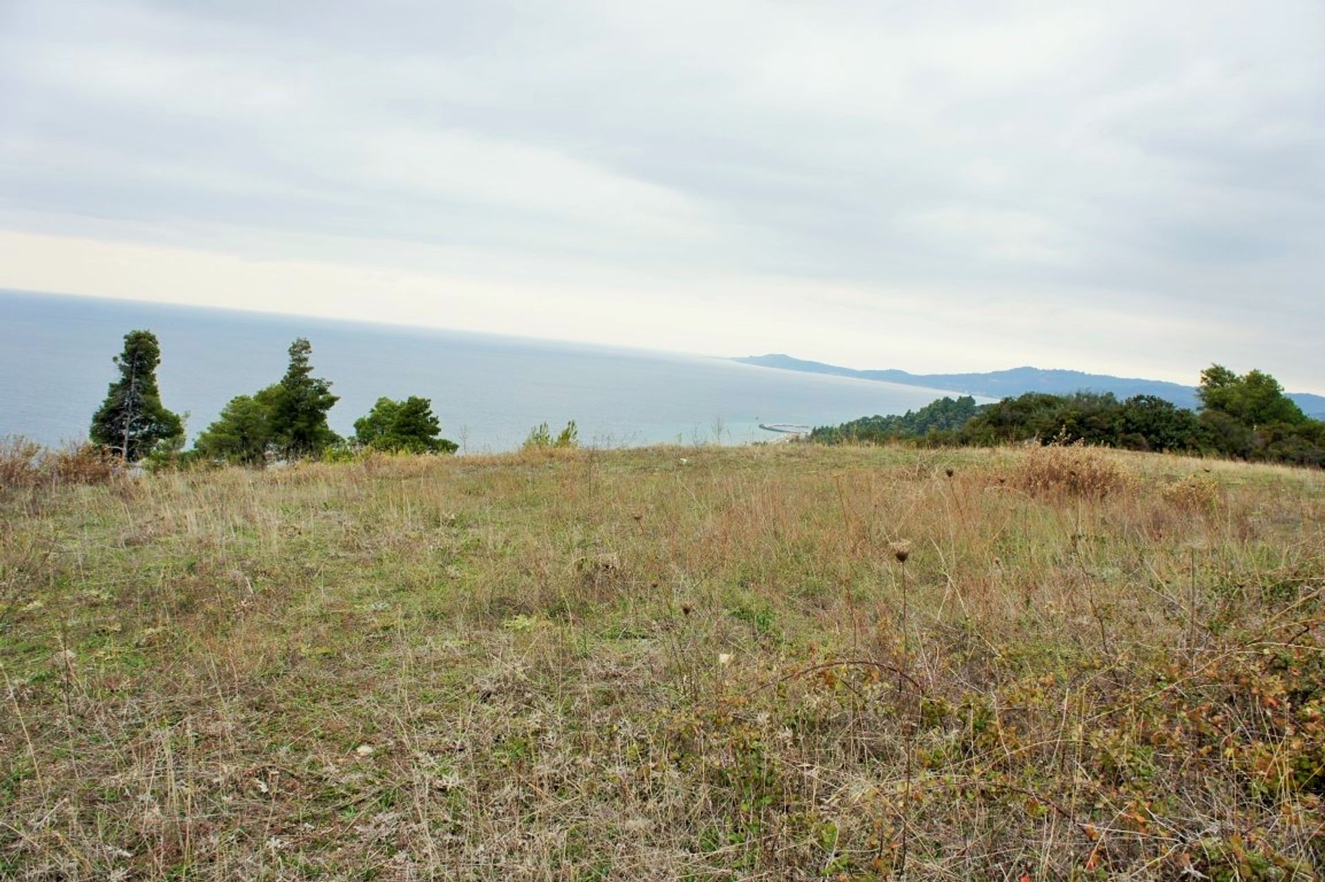 Земля в Касандрея, Kentriki Makedonia 10801919