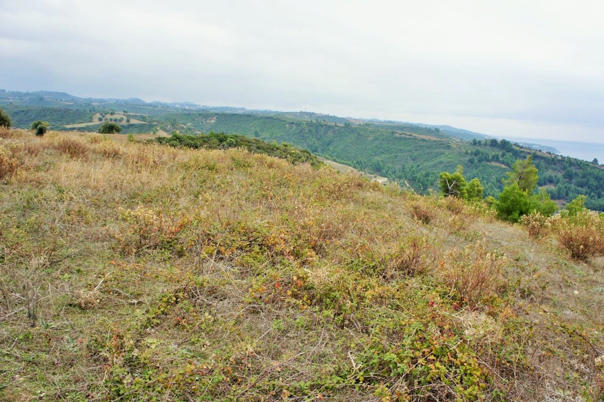 Terre dans Kassandréia, Kentriki Macédoine 10801919