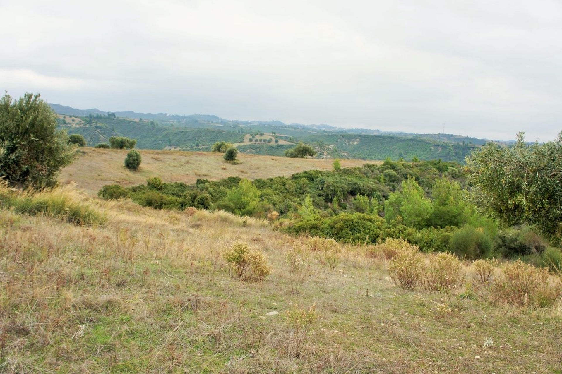 Terre dans Kassandréia, Kentriki Macédoine 10801919