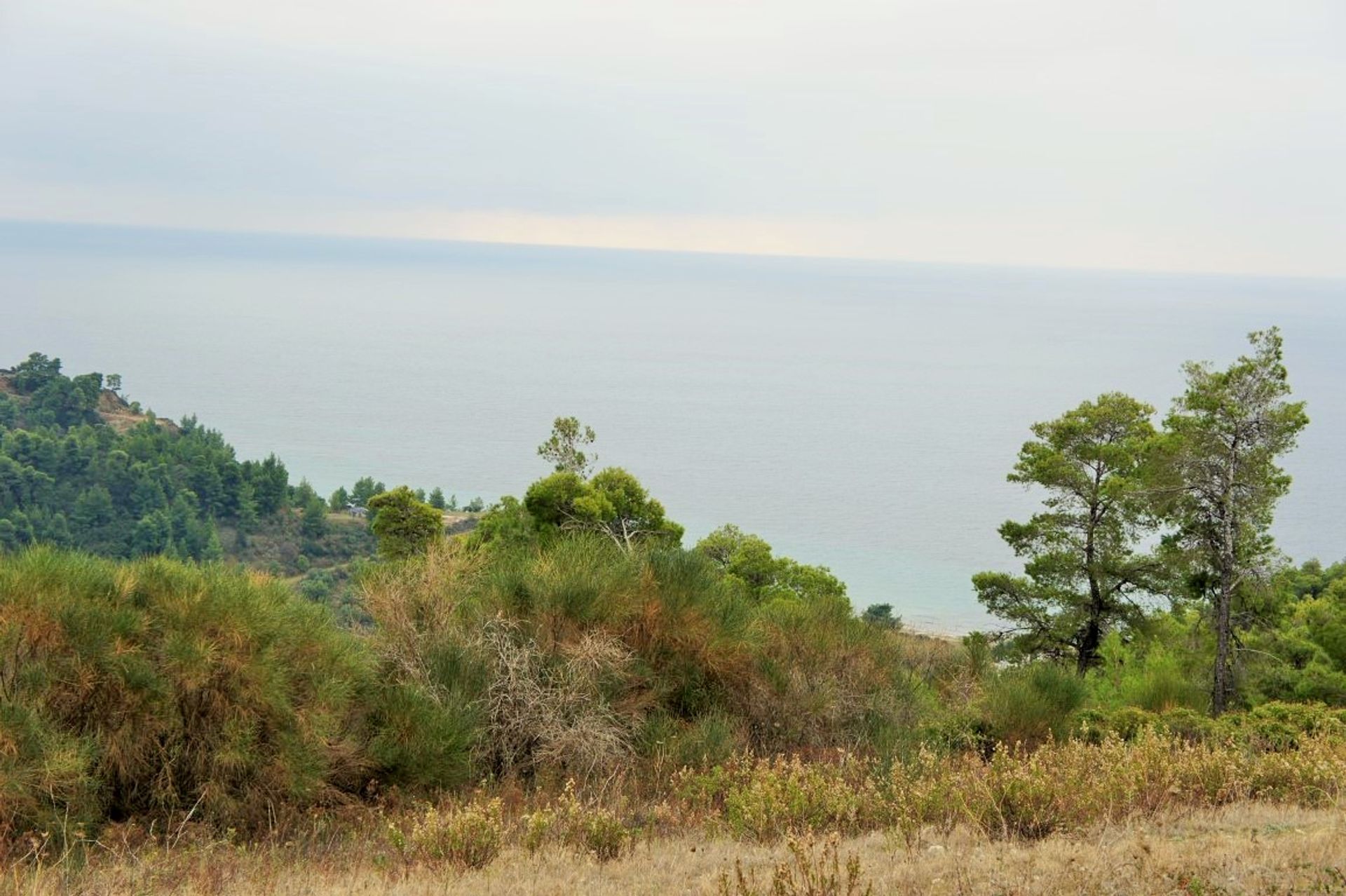 Terre dans Kassandréia, Kentriki Macédoine 10801919