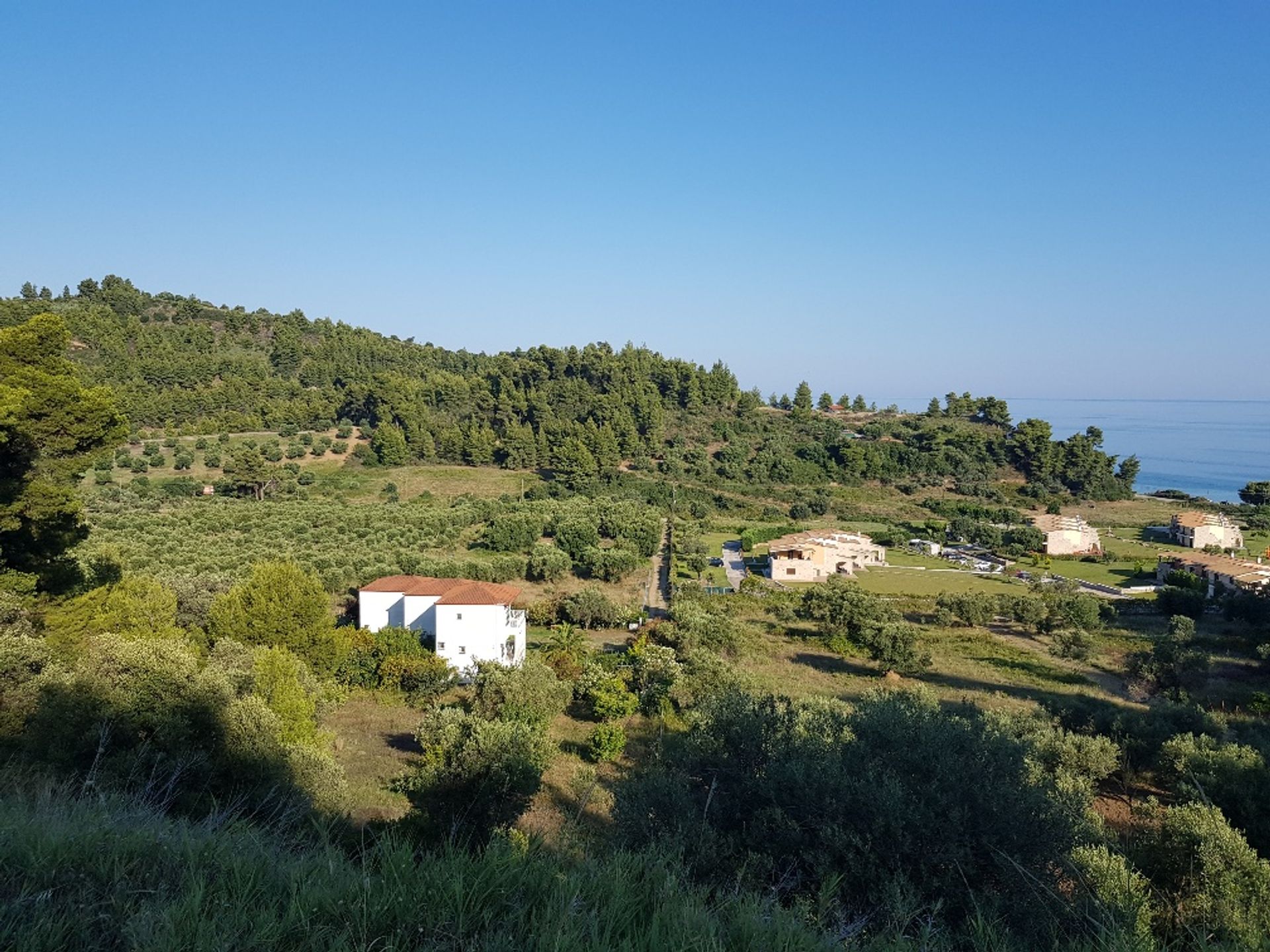 Land in Kassandreia, Kentriki Makedonia 10801966