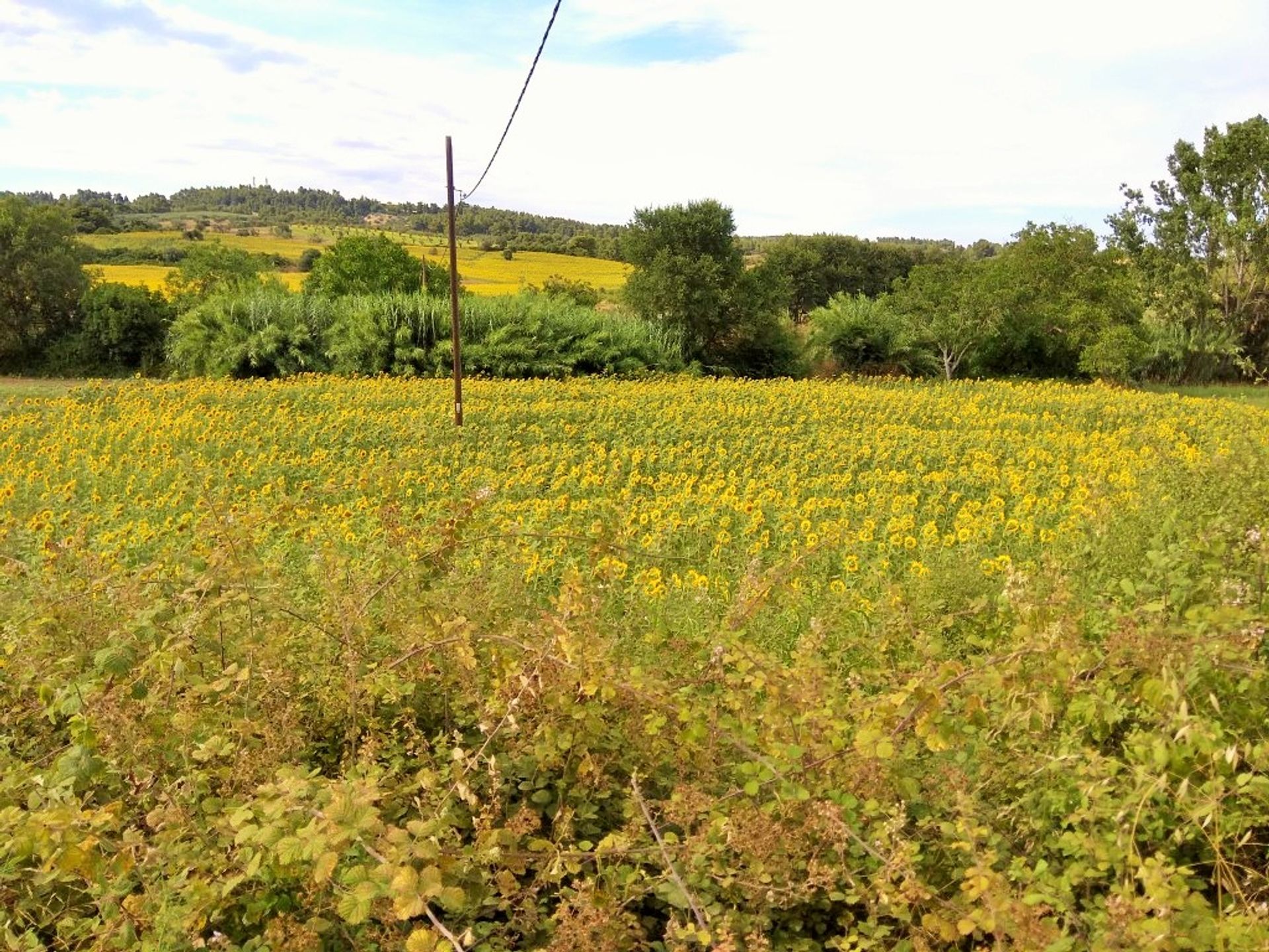 Land in Kassandreia, Kentriki Makedonia 10802030