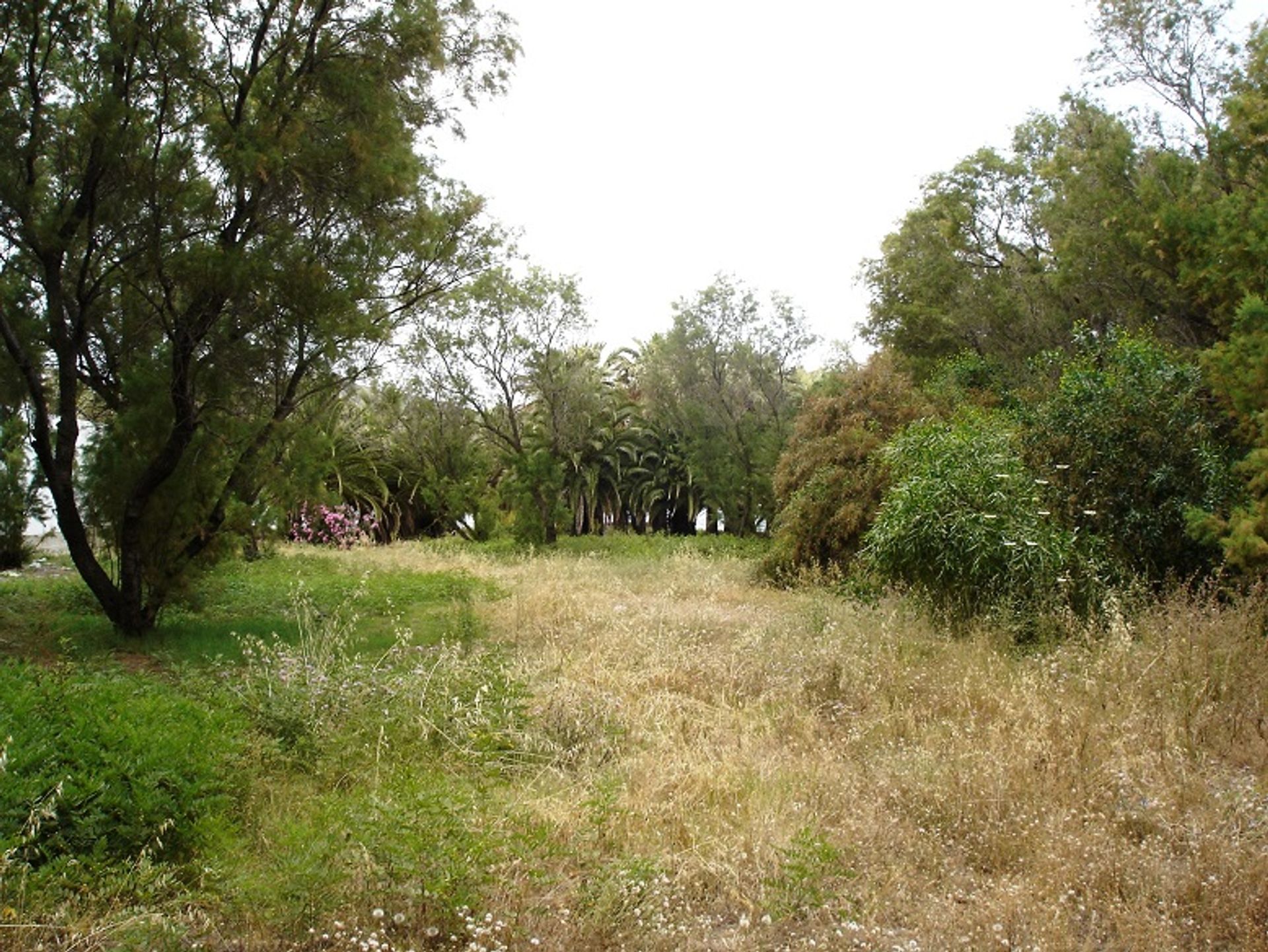 Land in Platanias, Kriti 10802221