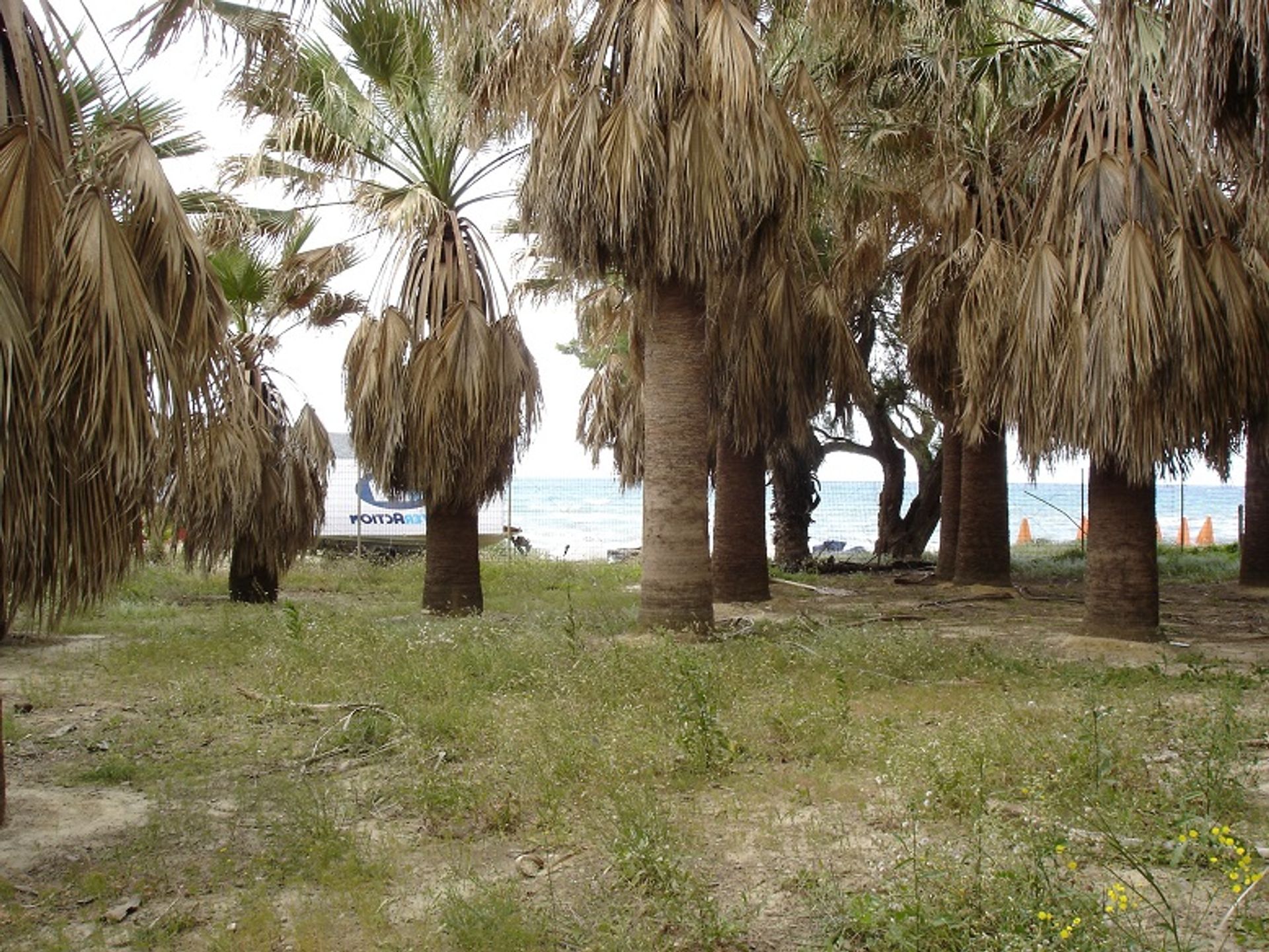 Γη σε Πλατανιάς, Κρήτης 10802221