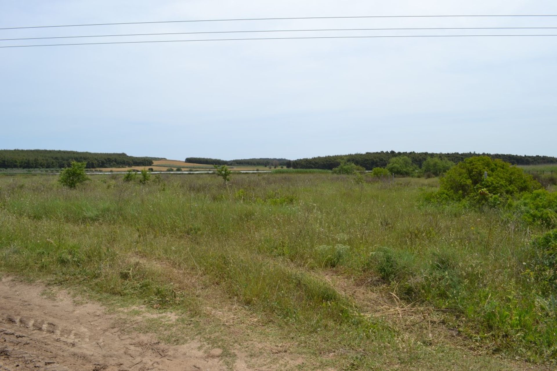 Terre dans Nouvelle Poteidaia, Kentriki Macédoine 10802281