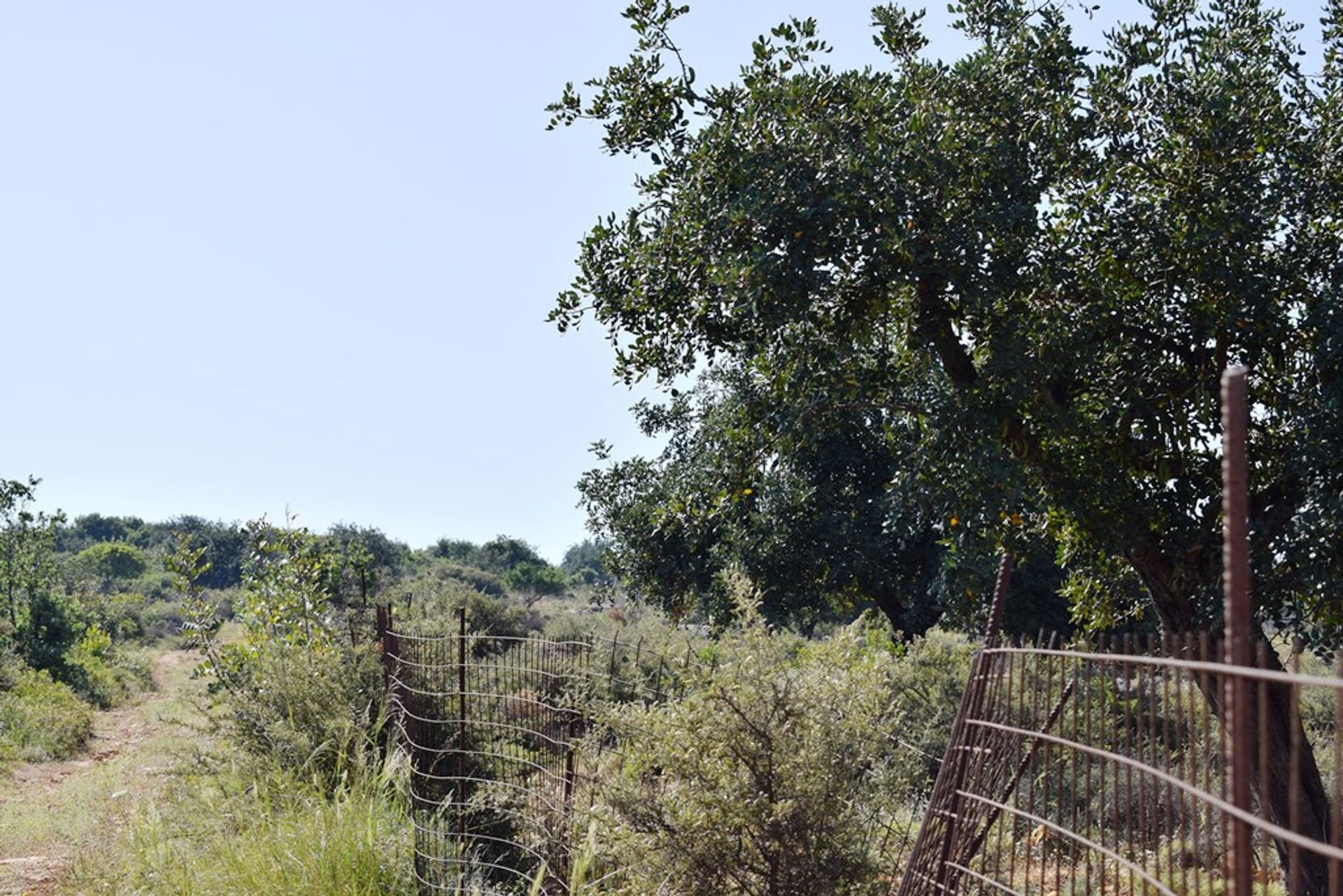 Γη σε Αμνάτος, Κρήτης 10802300