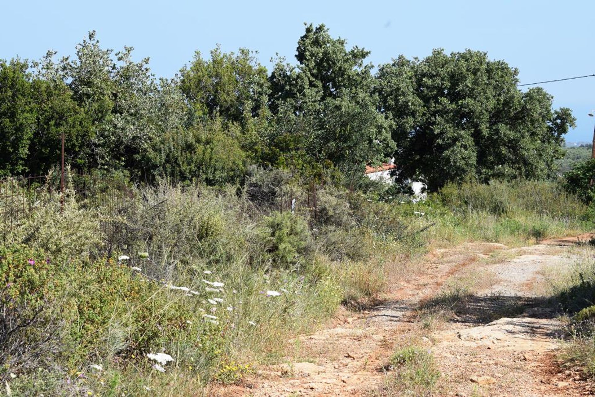 Terra no Arkadi,  10802300