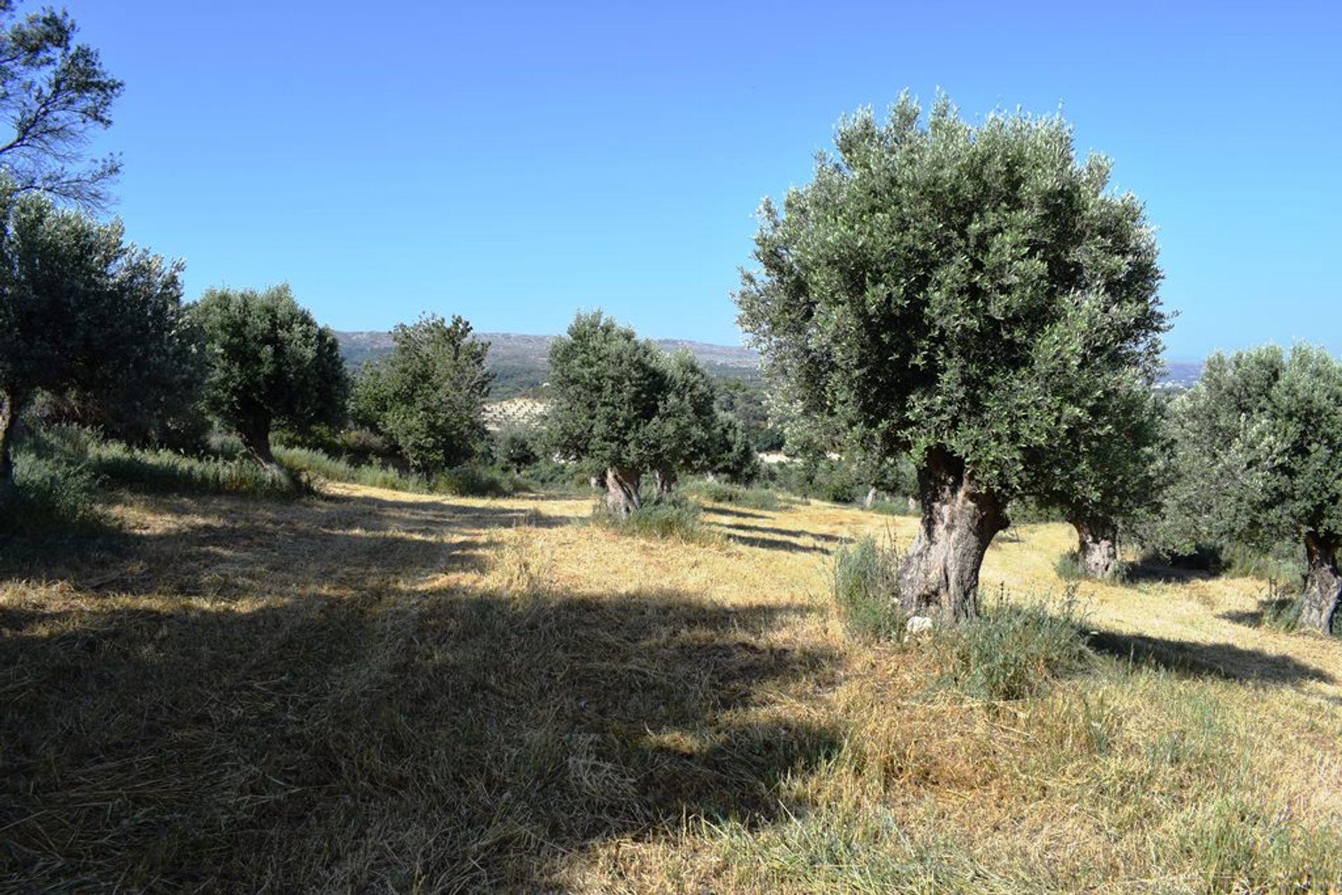 Γη σε Αμνάτος, Κρήτης 10802313