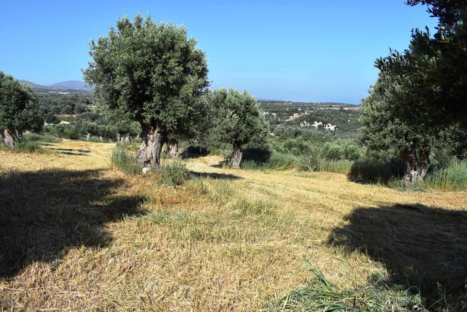 Γη σε Αμνάτος, Κρήτης 10802313