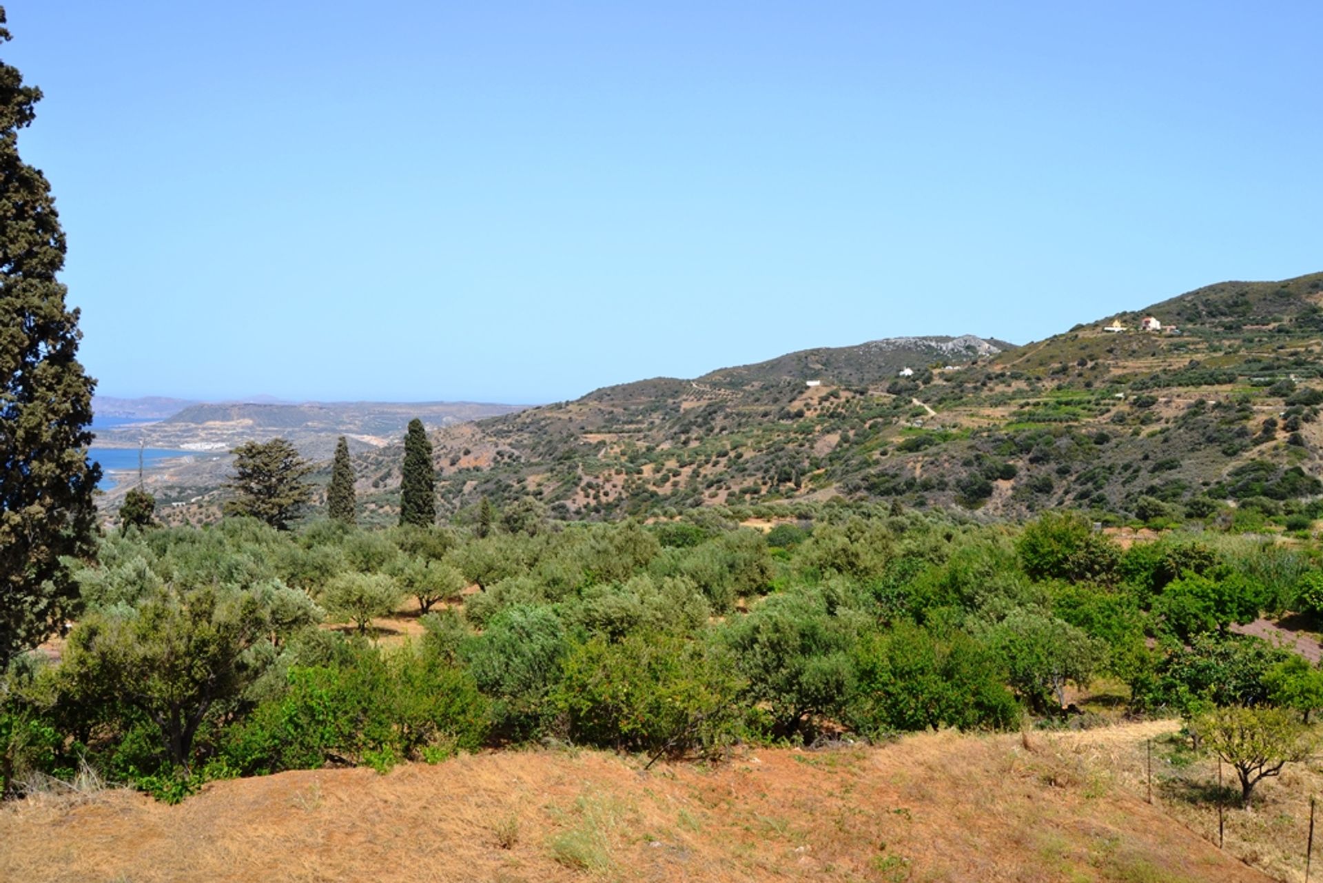 Land in Agia Fotia, Kriti 10802367