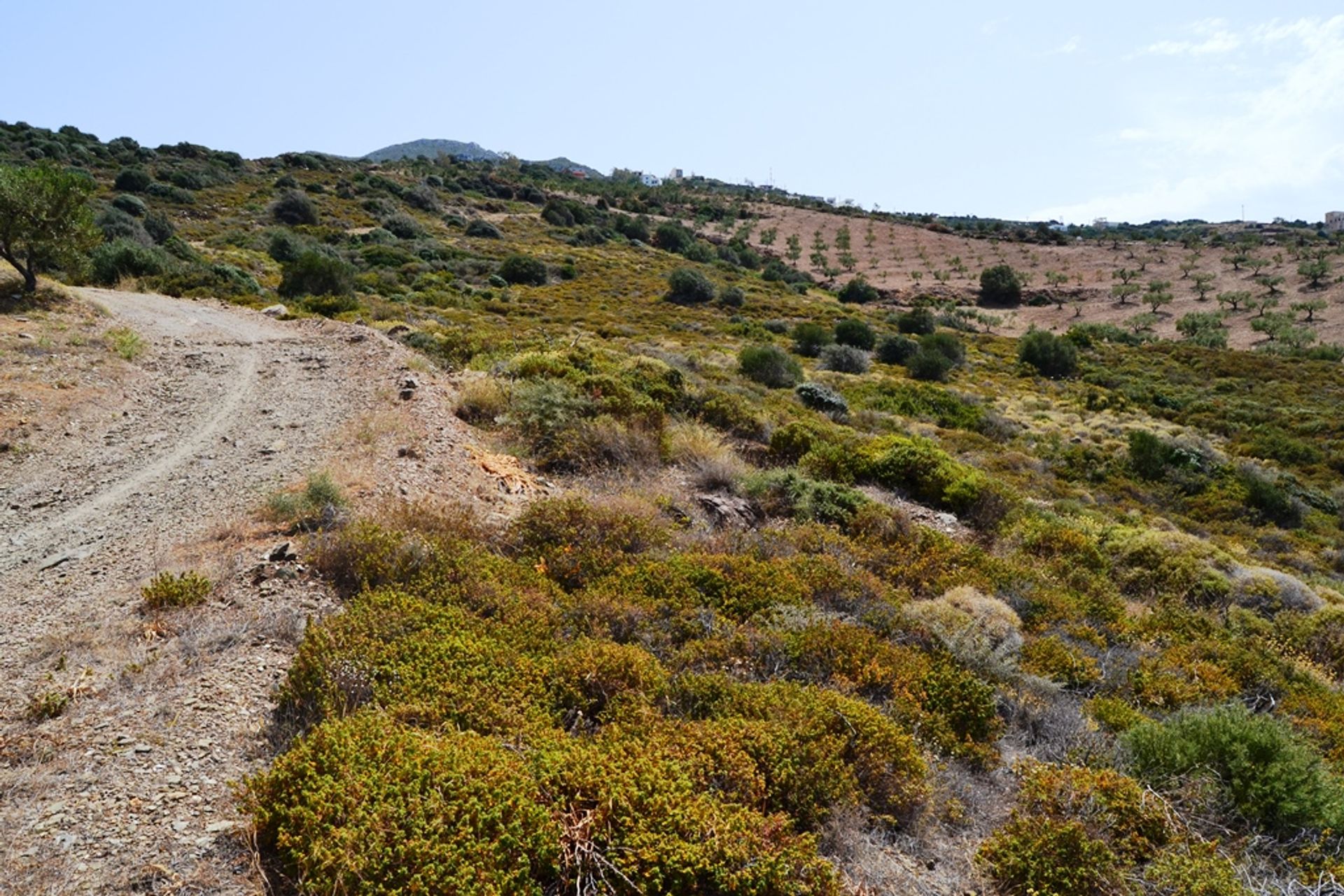 Land in Agia Fotia, Kriti 10802368