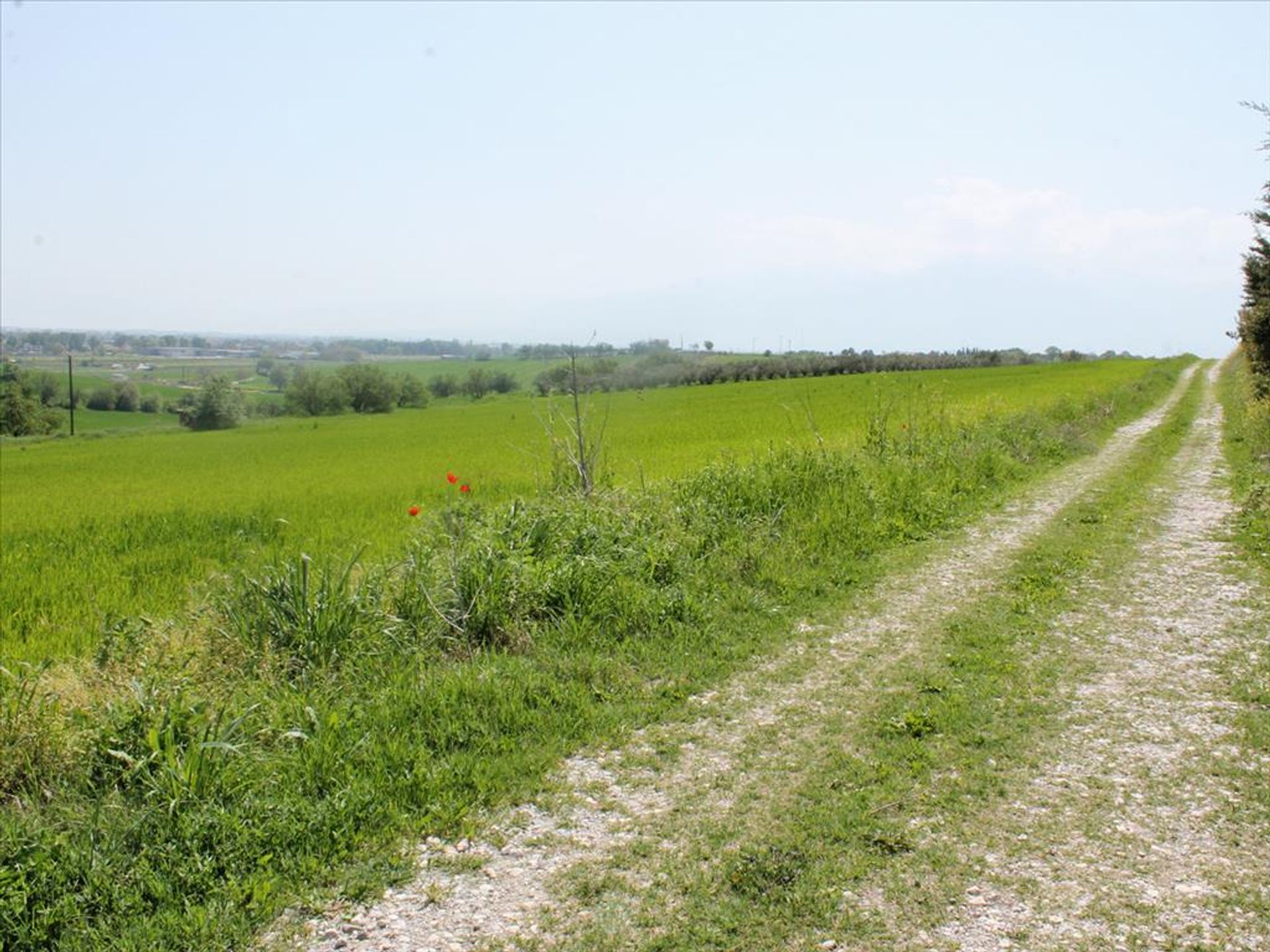 Land in Kato Agios Ioannis, Kentriki Makedonia 10802442