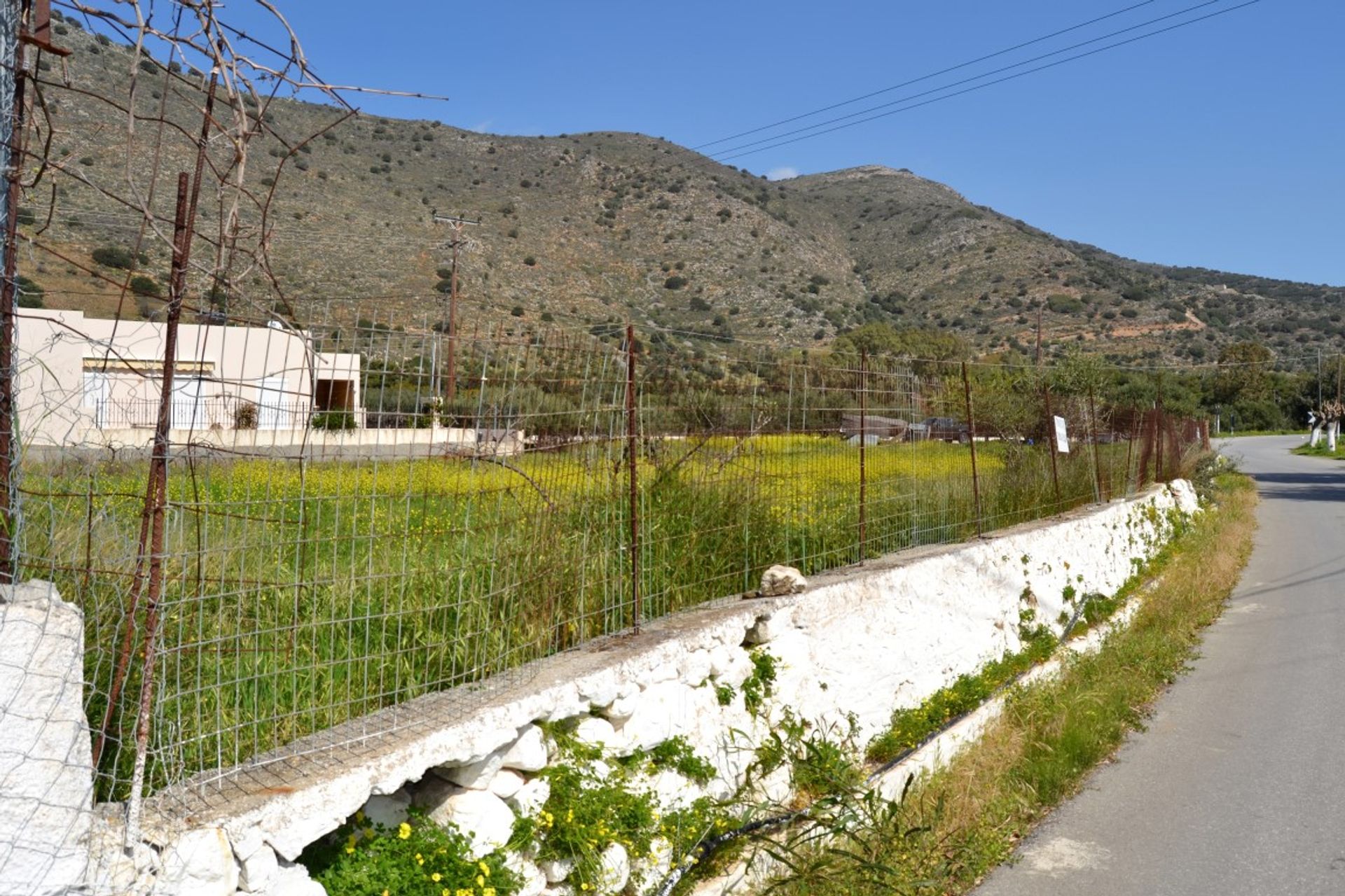 Tierra en Queratídia, criti 10802574