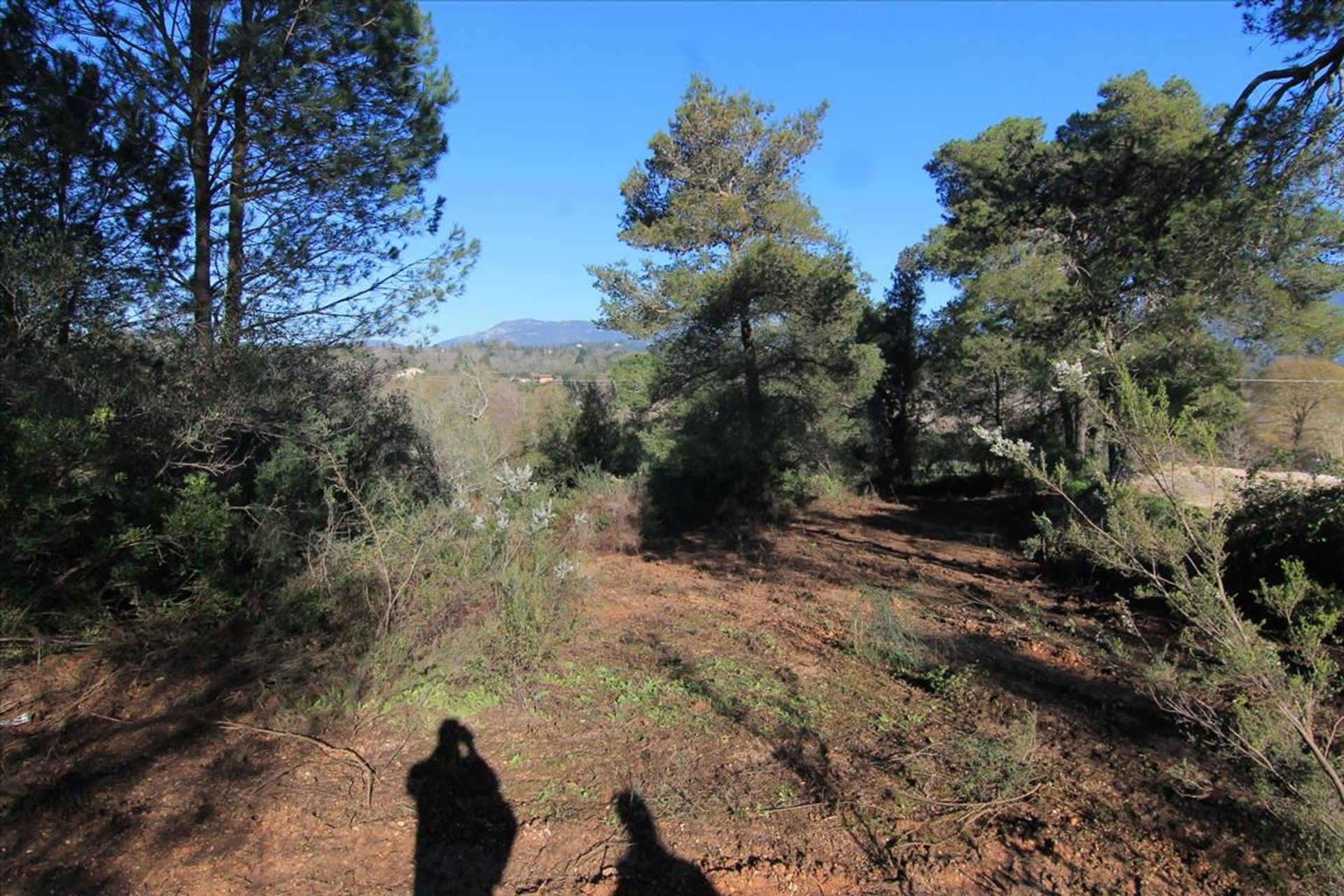 Terra no Gouvia, Ionia Nisia 10802626